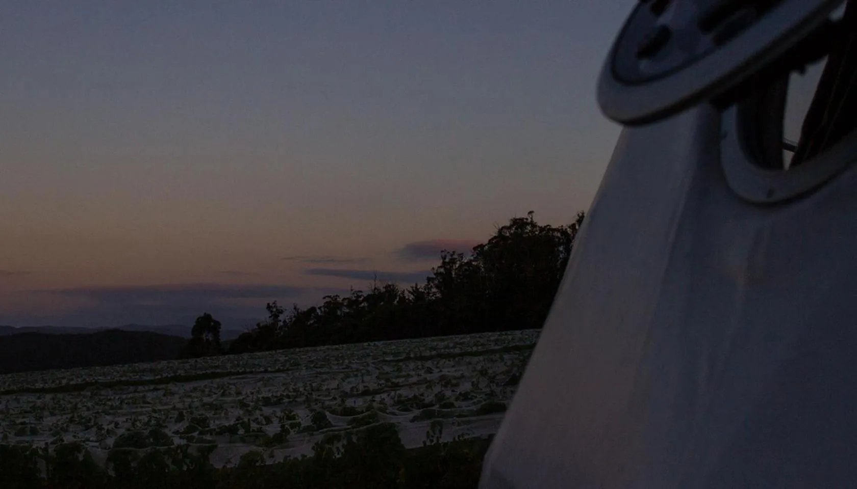 Sunset in Domescapes in the Vines