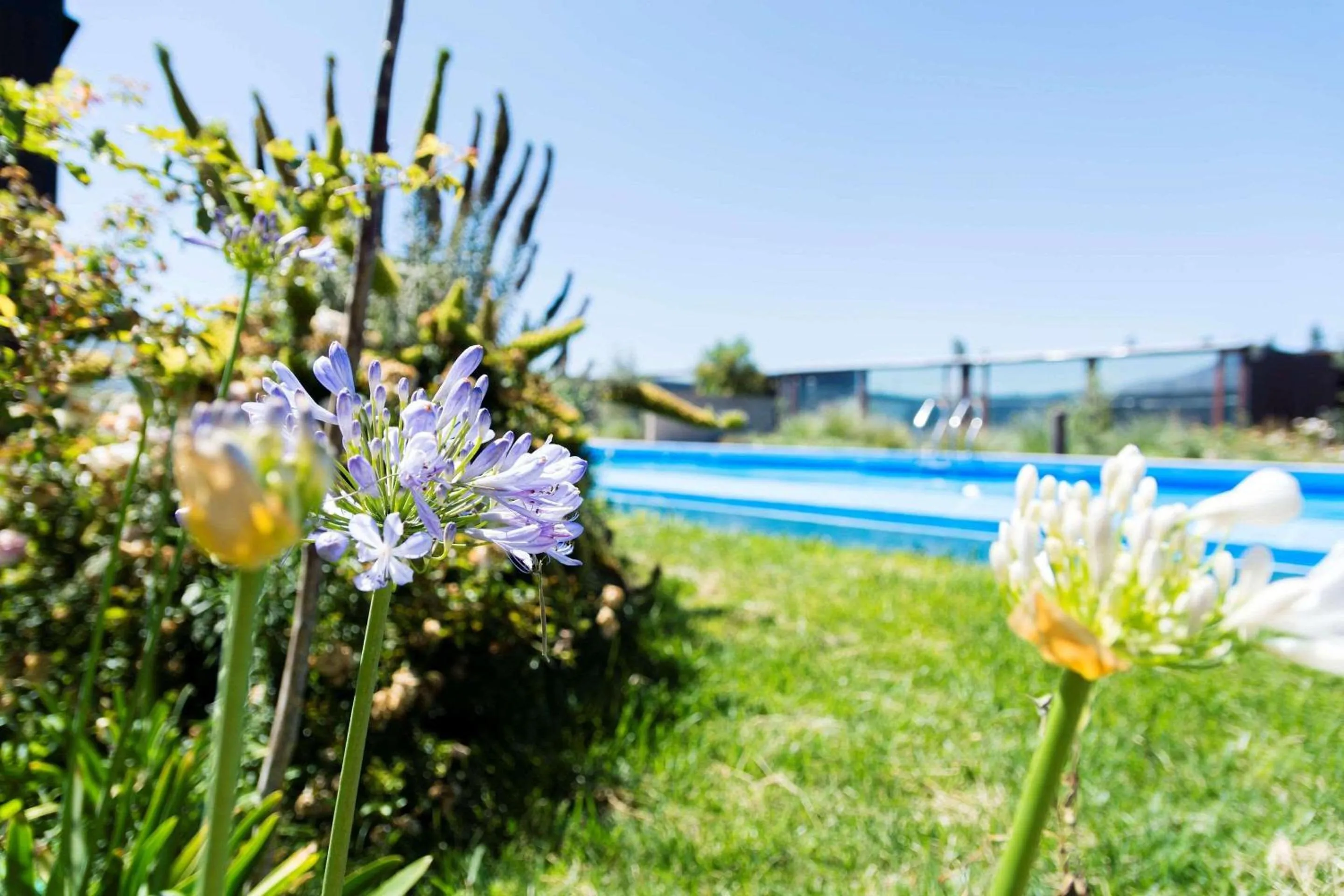 Other in Park Inn by Radisson Los Olivos de Vallenar