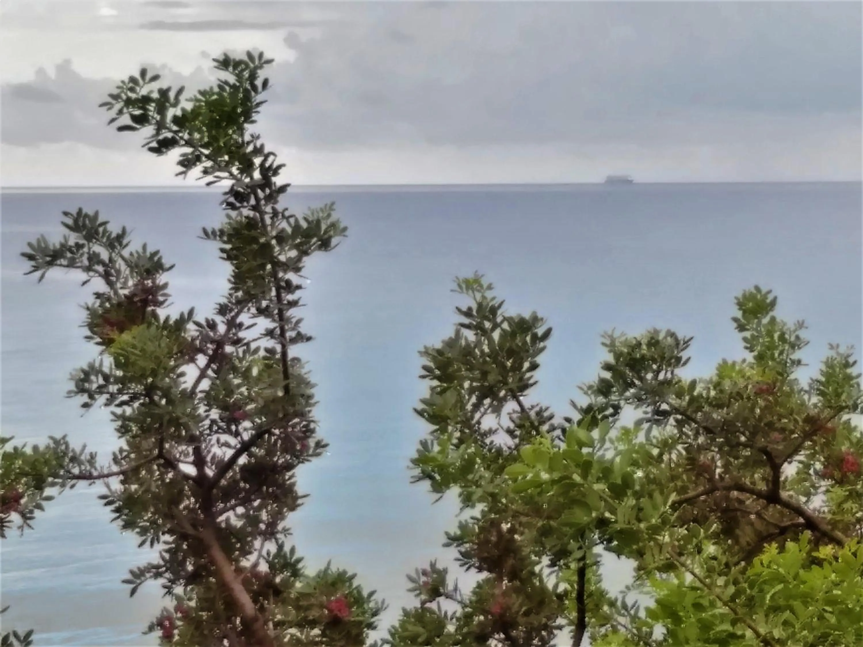 Beach in New Aurora Apts Studios