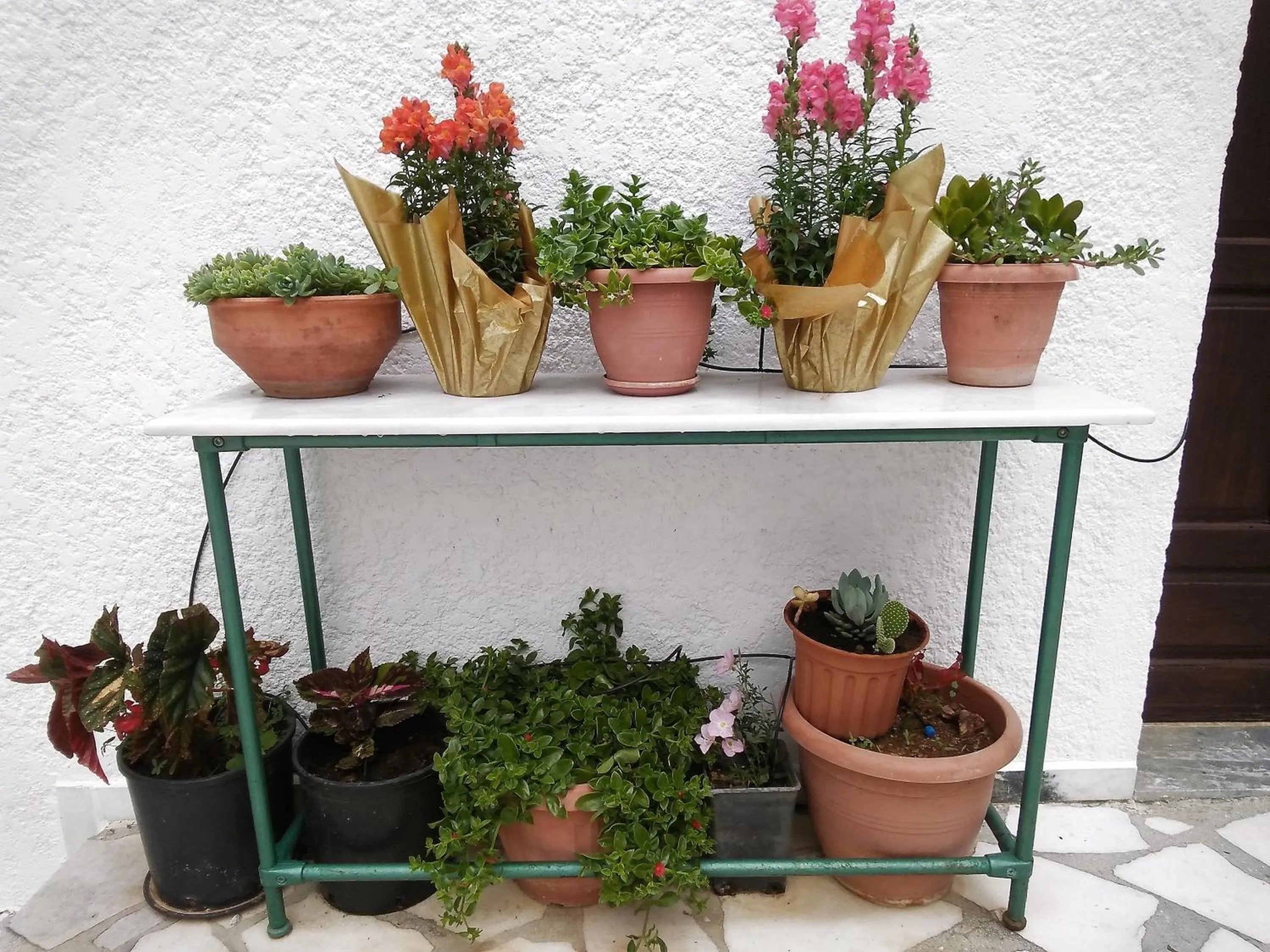 Property building in New Aurora Apts Studios