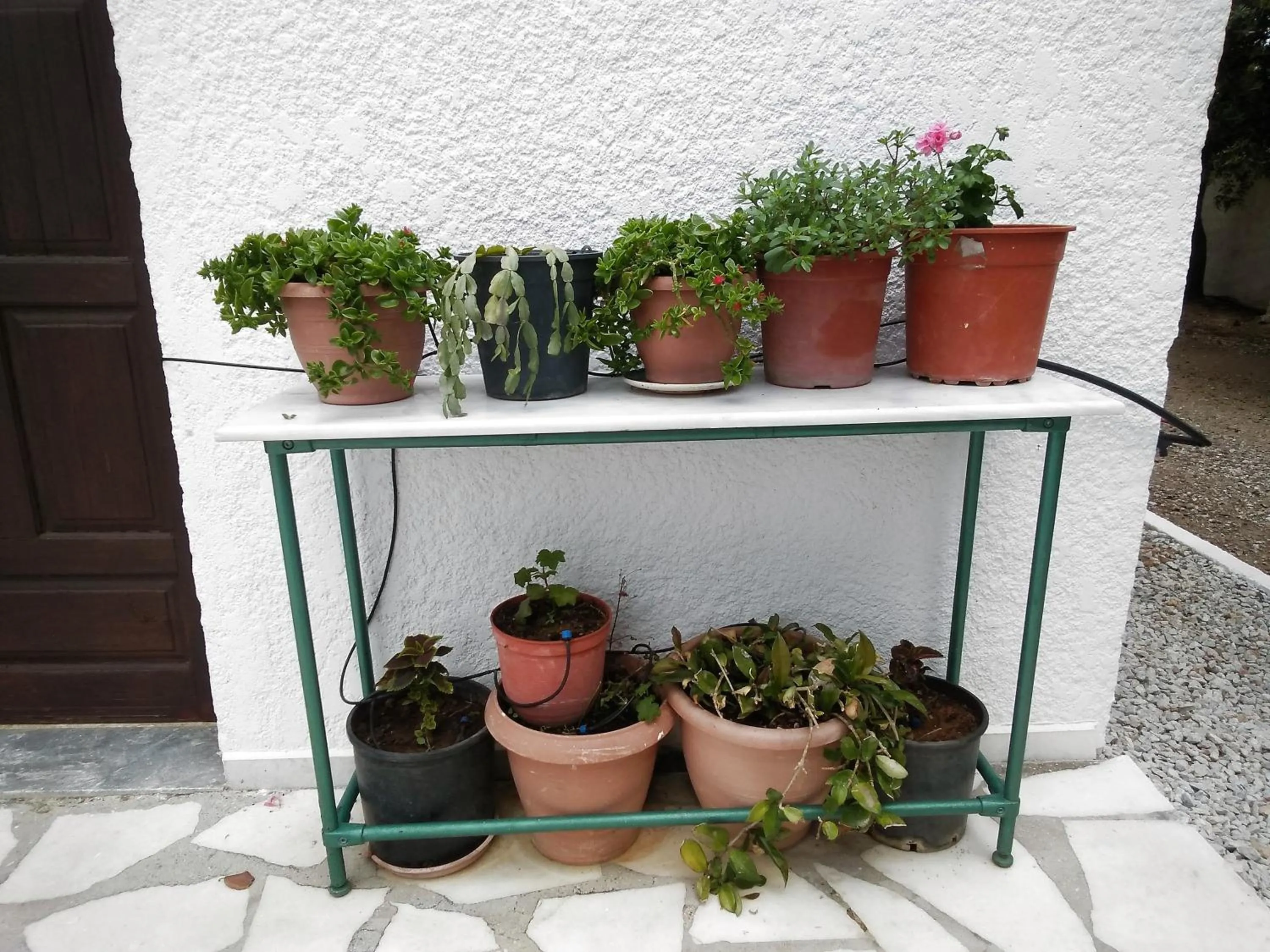 Property building in New Aurora Apts Studios