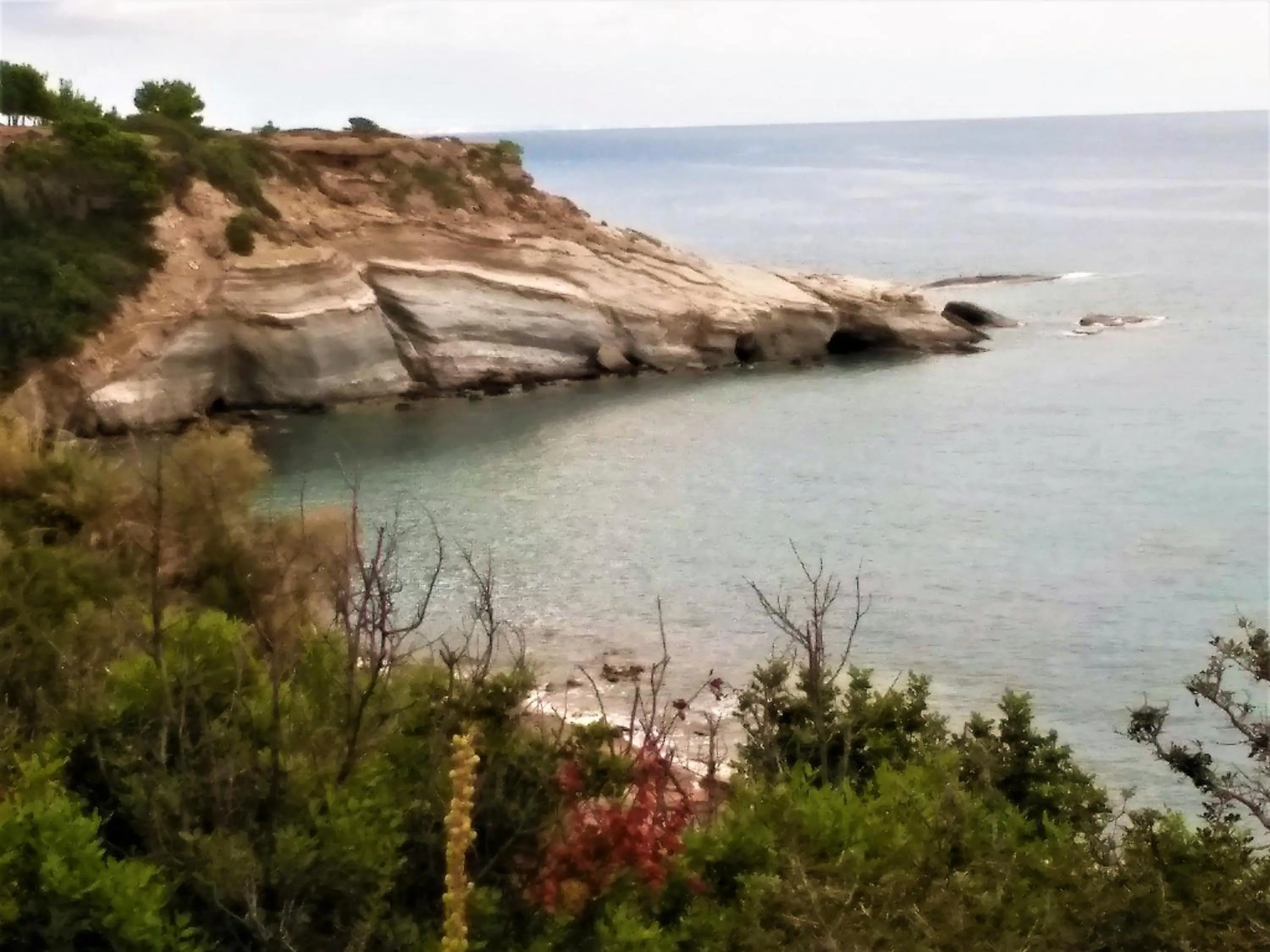 Beach in New Aurora Apts Studios