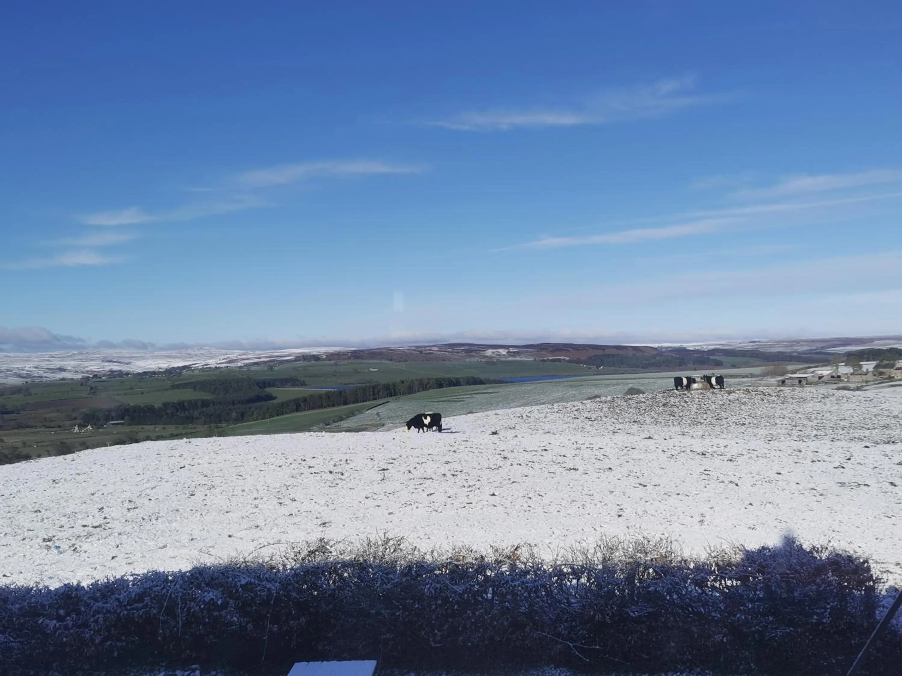 View (from property/room) in The Manor House Inn