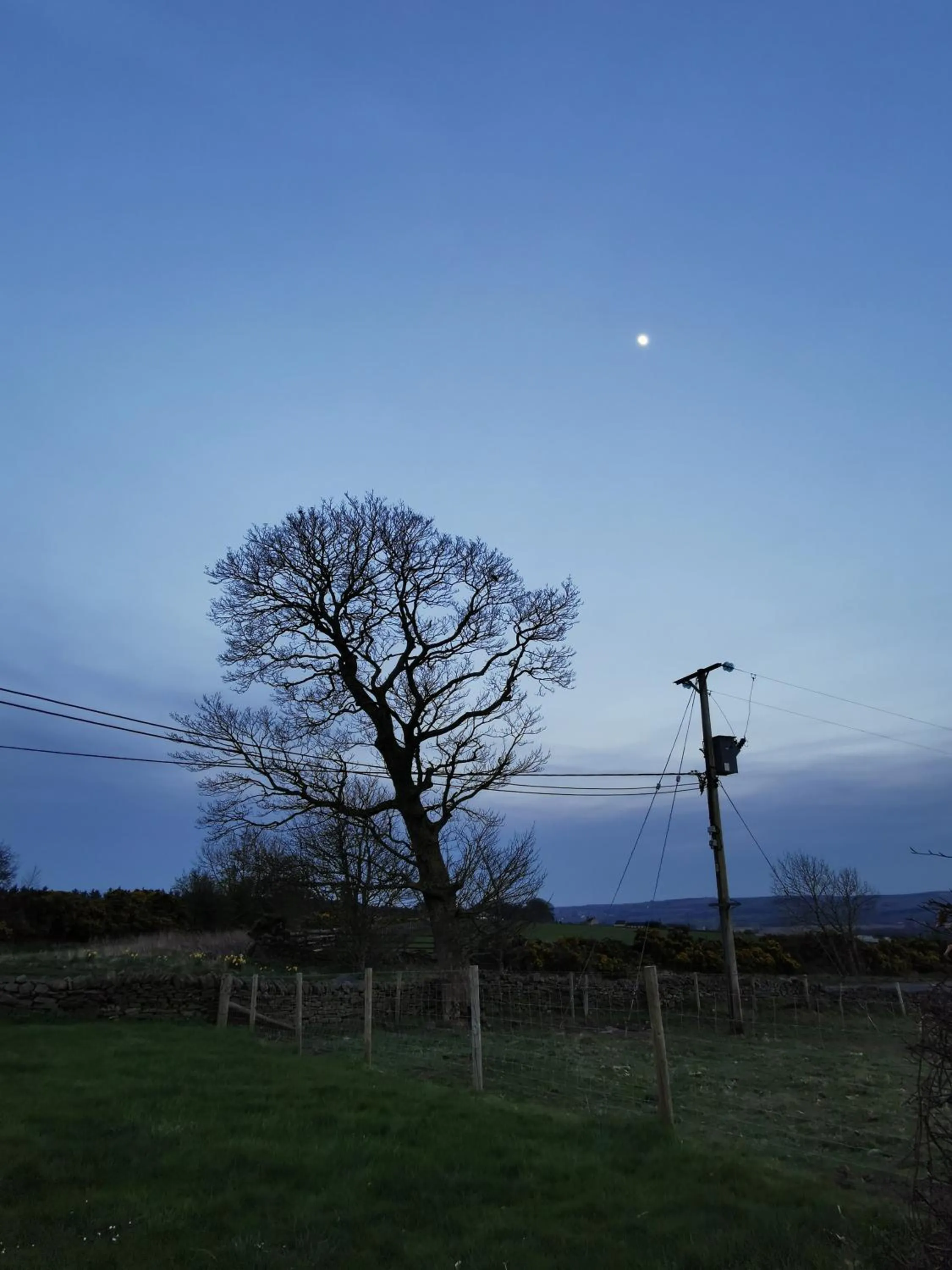 View (from property/room) in The Manor House Inn