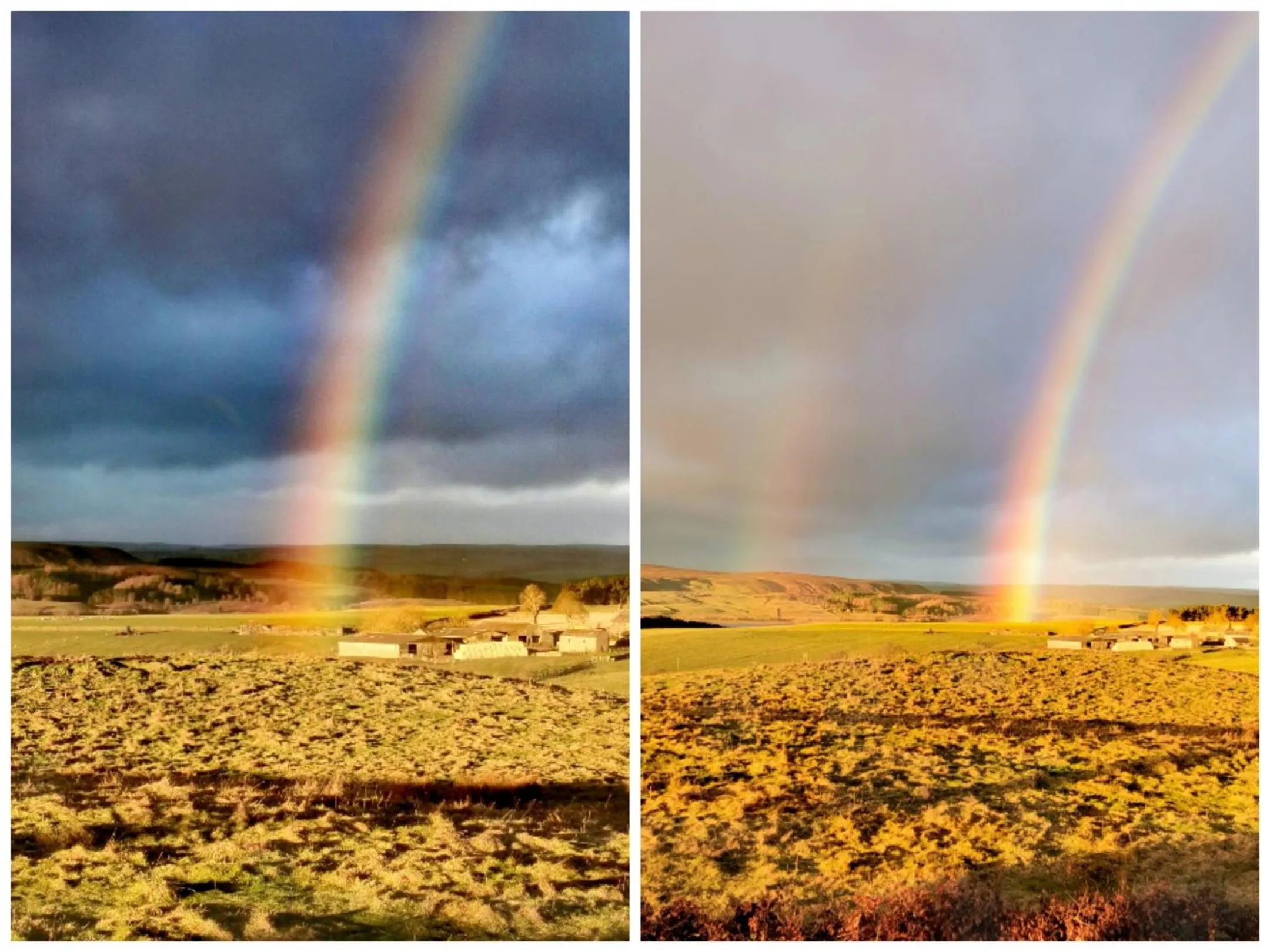 View (from property/room) in The Manor House Inn