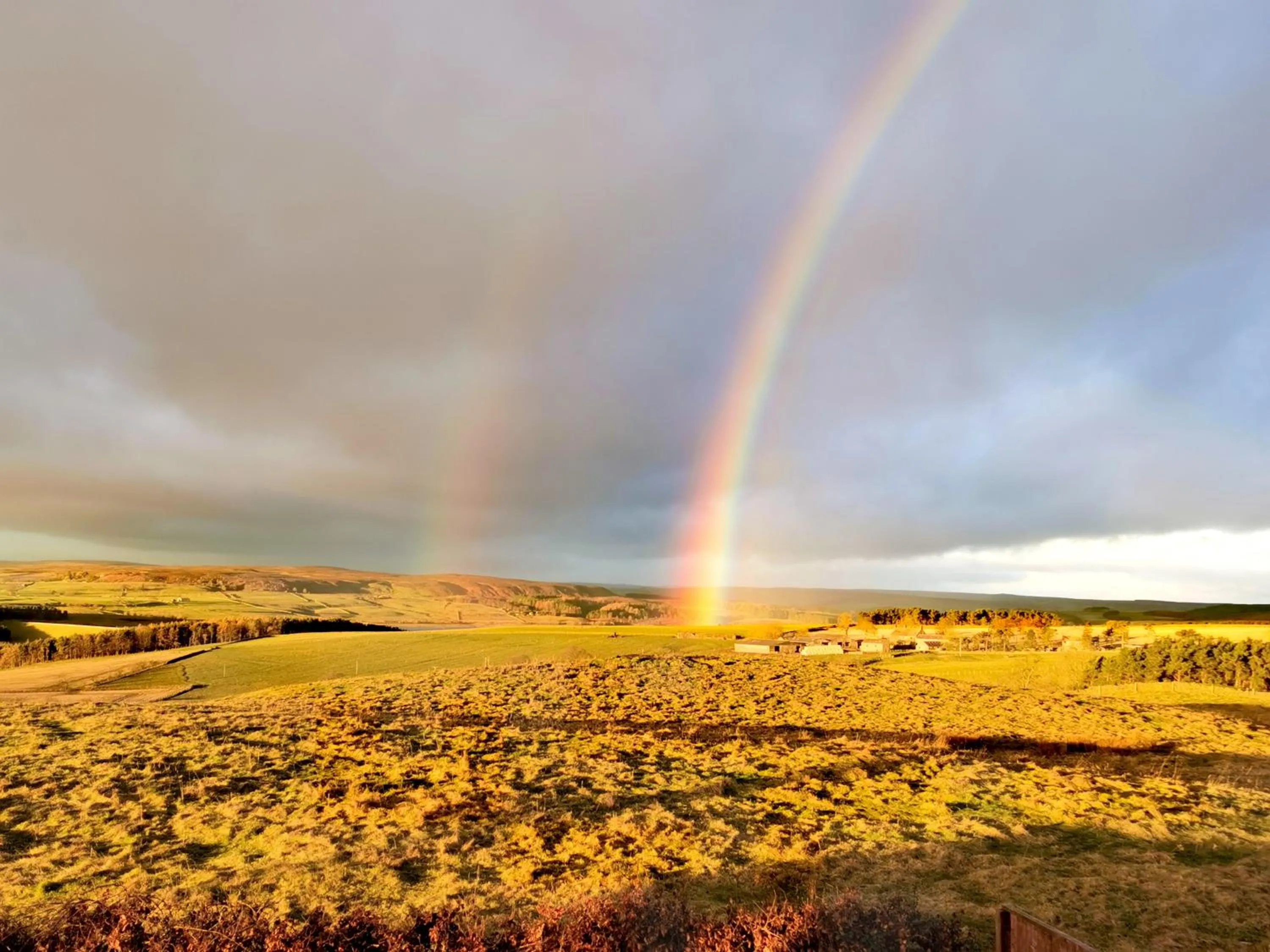 View (from property/room) in The Manor House Inn