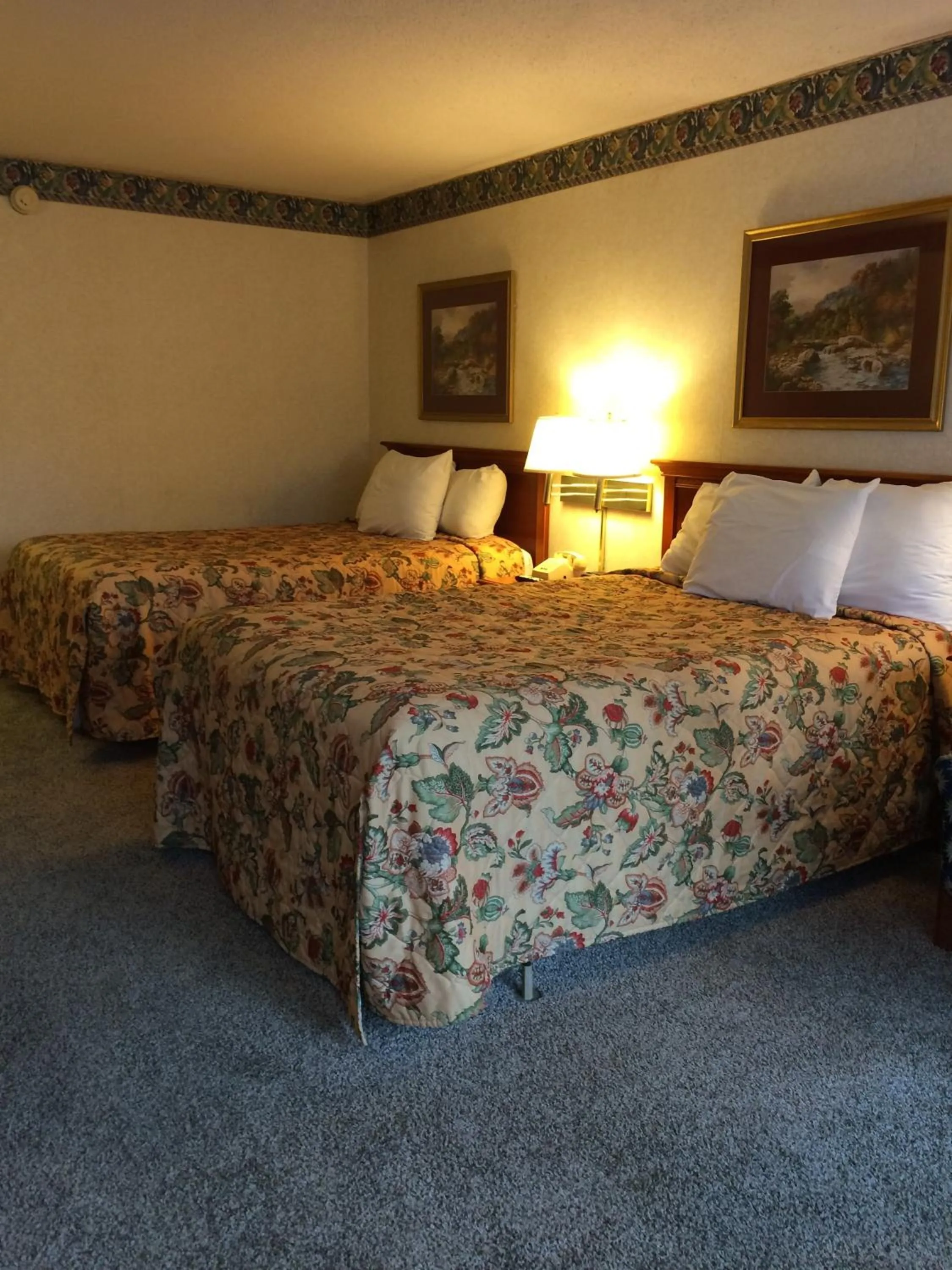 Bed in Knights Inn Newport