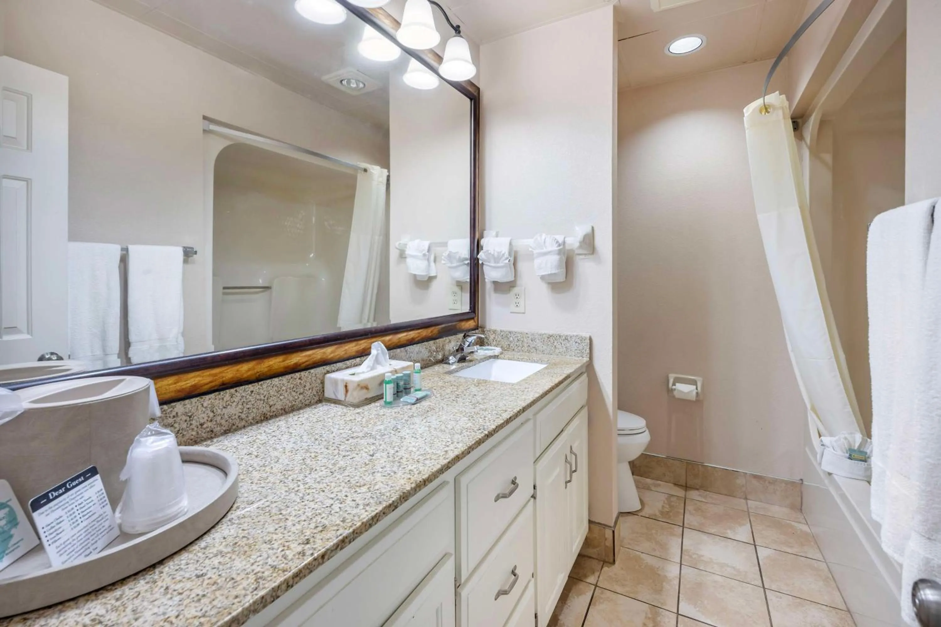 Bathroom in Best Western Spring Hill Inn & Suites