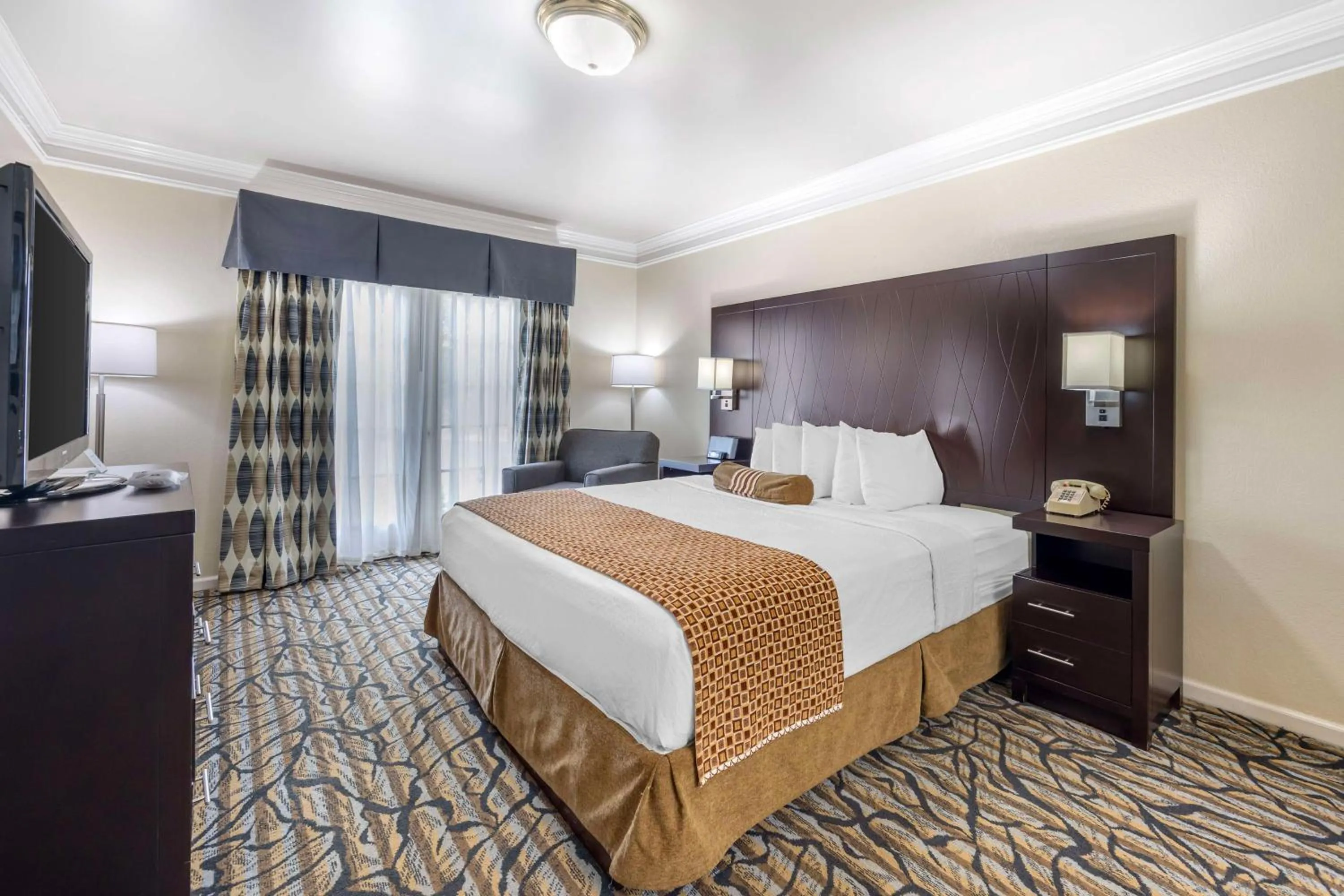 Photo of the whole room, Bed in Best Western Spring Hill Inn & Suites