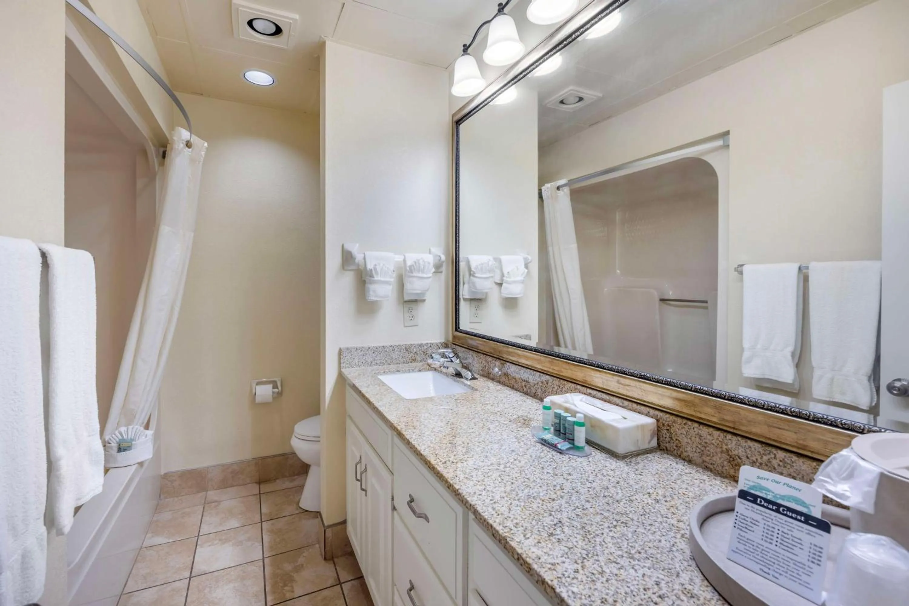 Bathroom in Best Western Spring Hill Inn & Suites