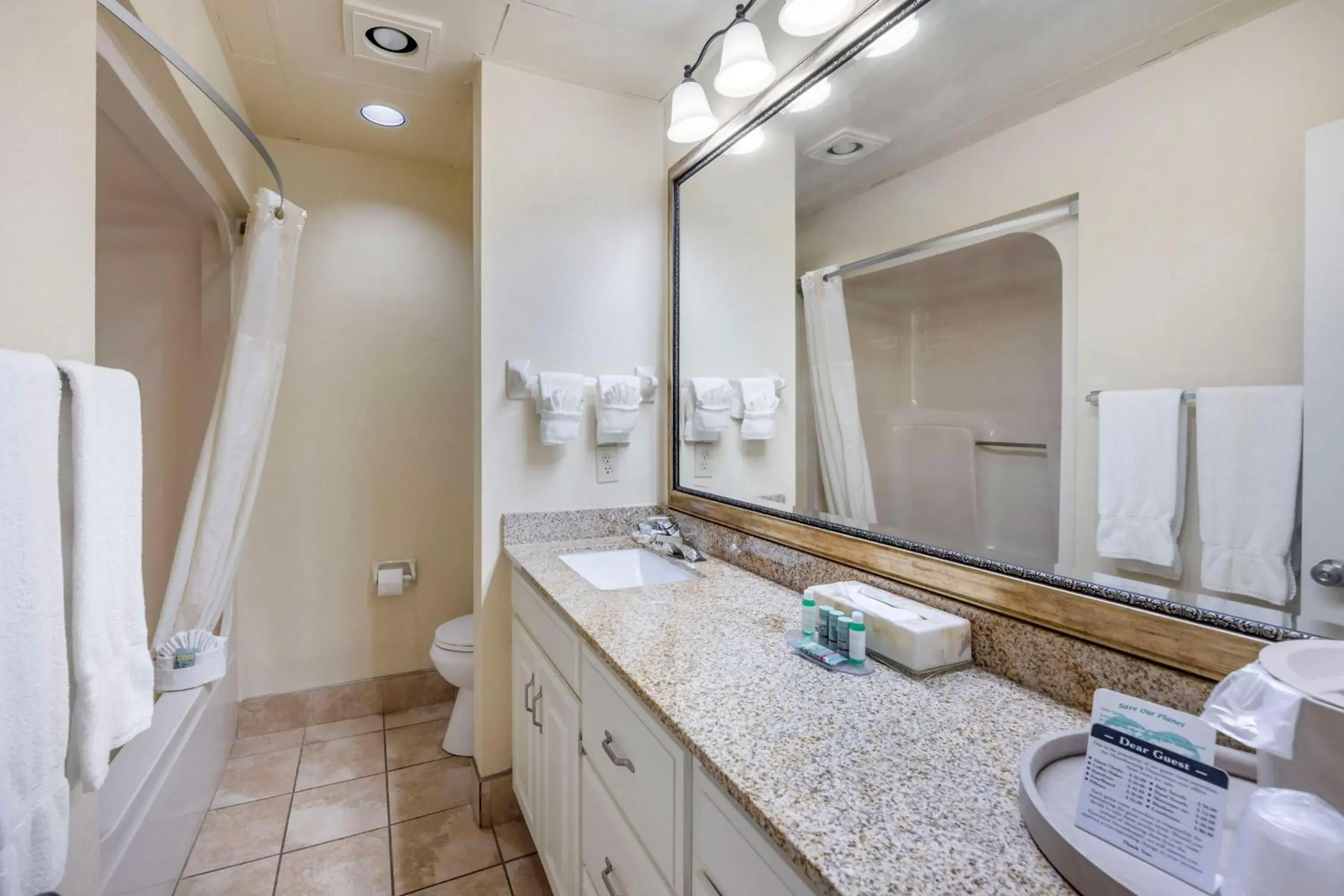 Bathroom in Best Western Spring Hill Inn & Suites Bathroom in Best Western Spring Hill Inn & Suites