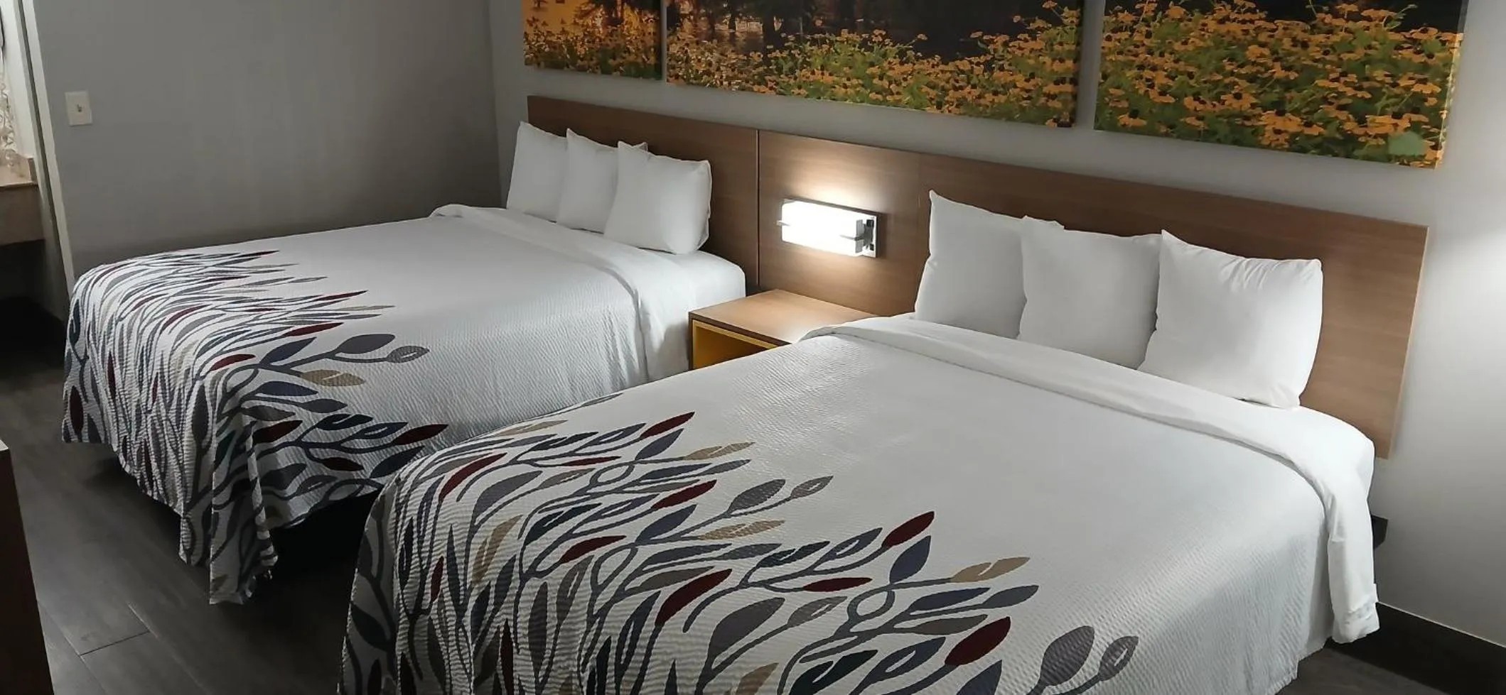 Photo of the whole room, Bed in Red Roof Inn Leeds