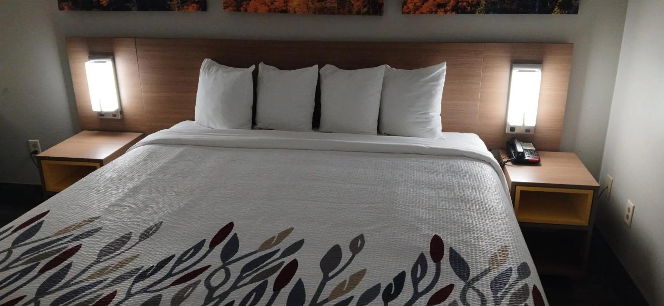 Bedroom, Bed in Red Roof Inn Leeds