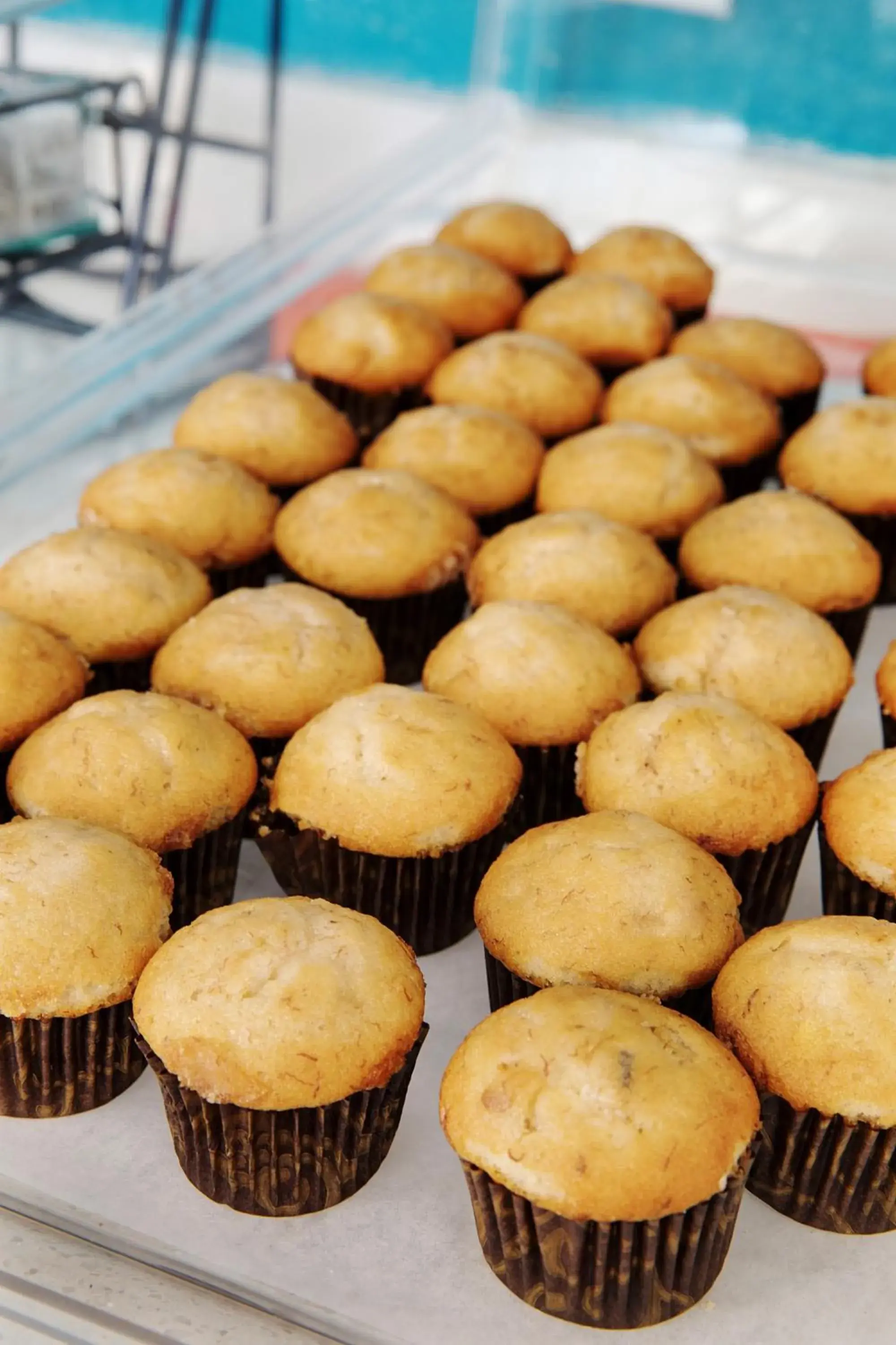 Food and drinks in Plantation Suites and Conference Center Food and drinks in Plantation Suites and Conference Center