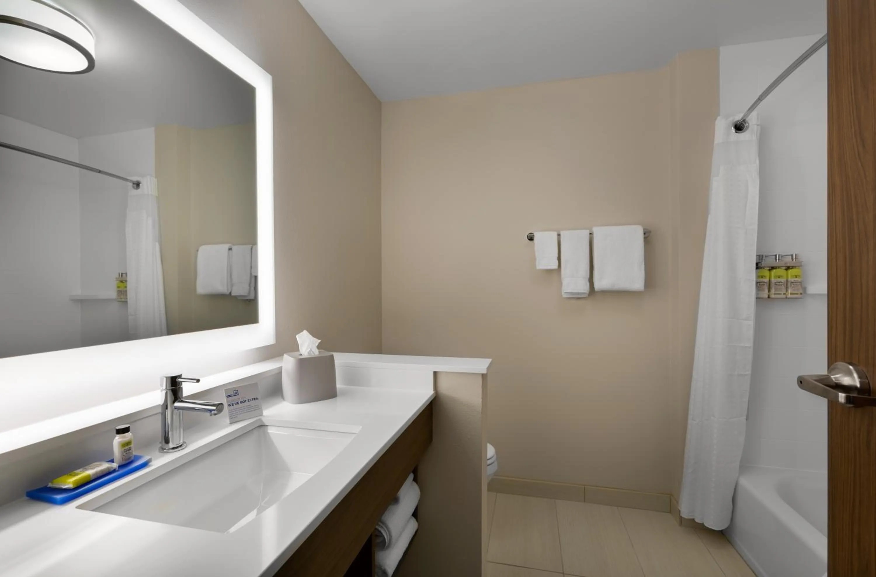 Bathroom in Holiday Inn Express & Suites - Fayetteville South by IHG