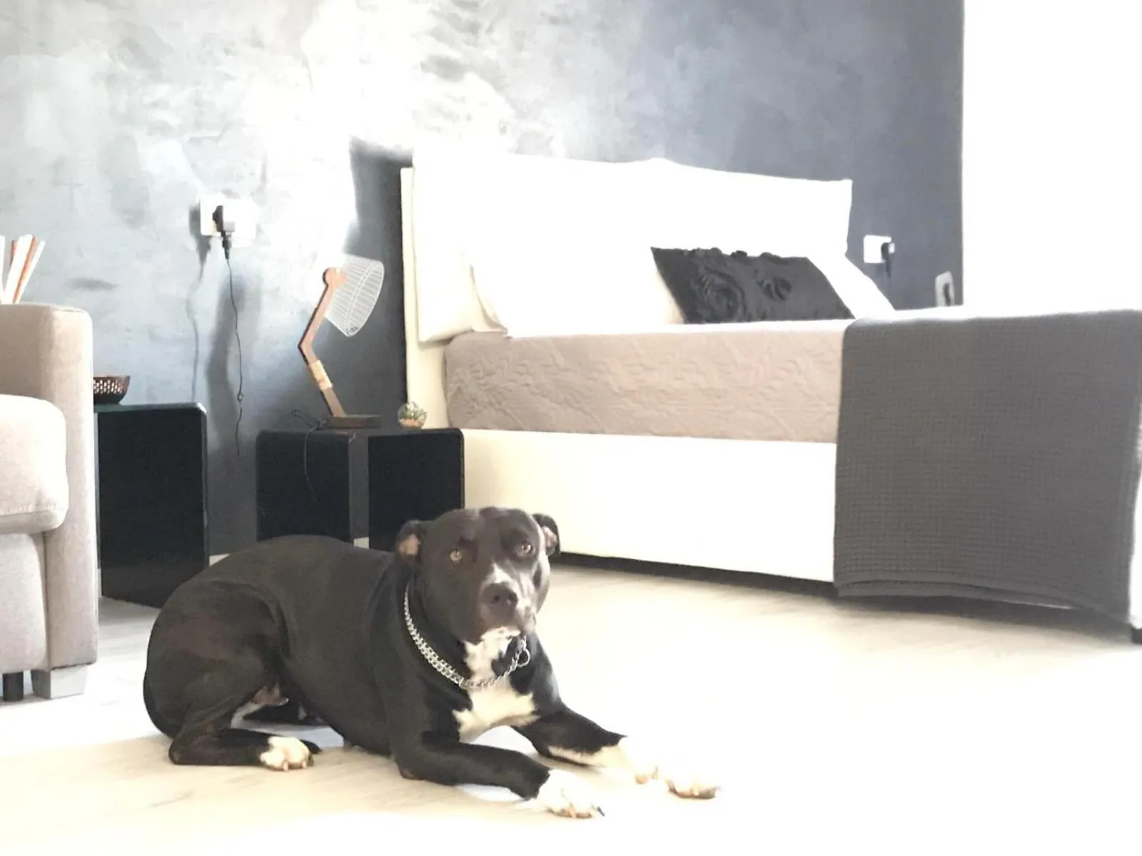 B&B Le Stanze Al Centro