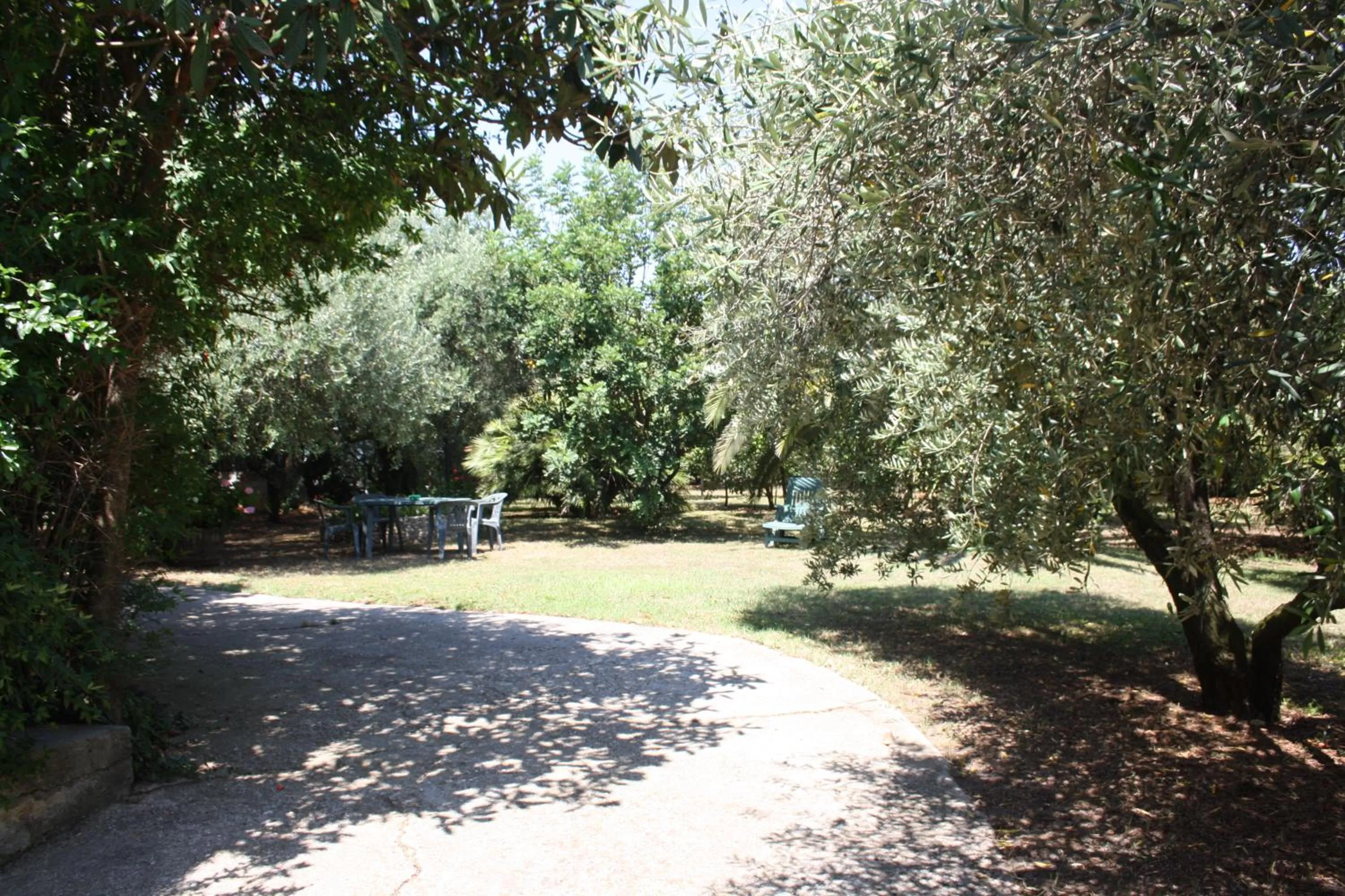 Garden in Il Boschetto