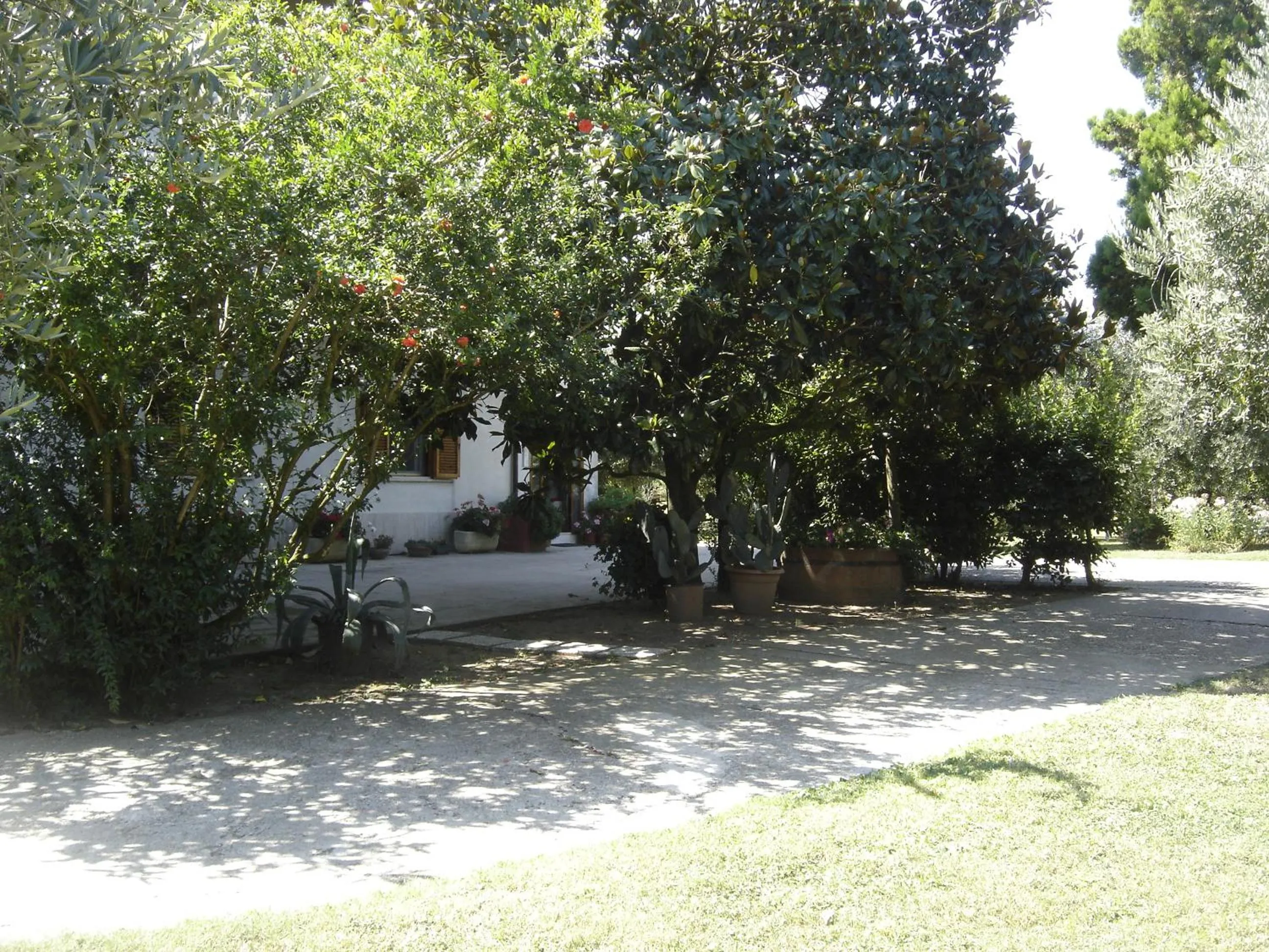 Garden in Il Boschetto