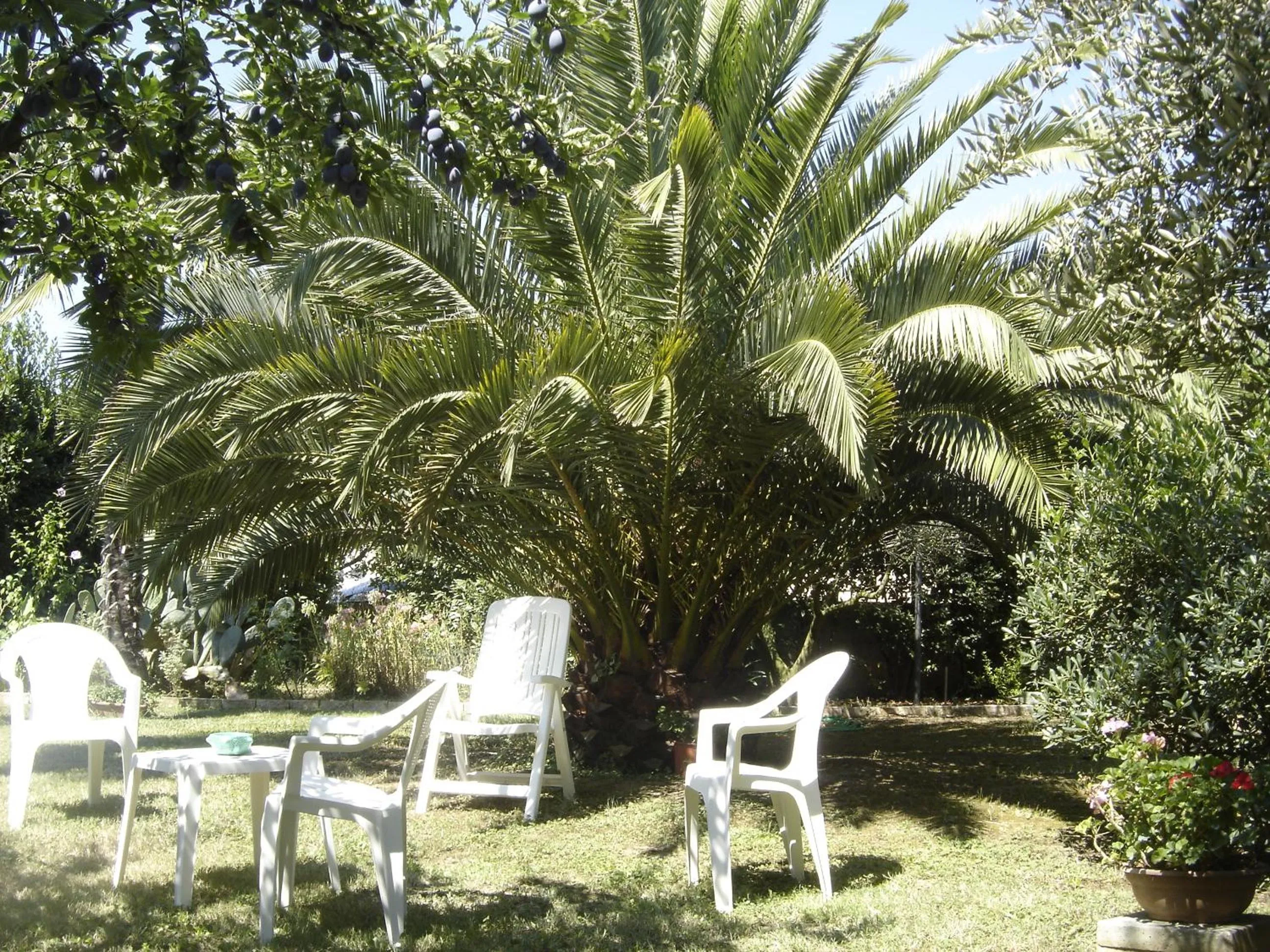 Garden in Il Boschetto