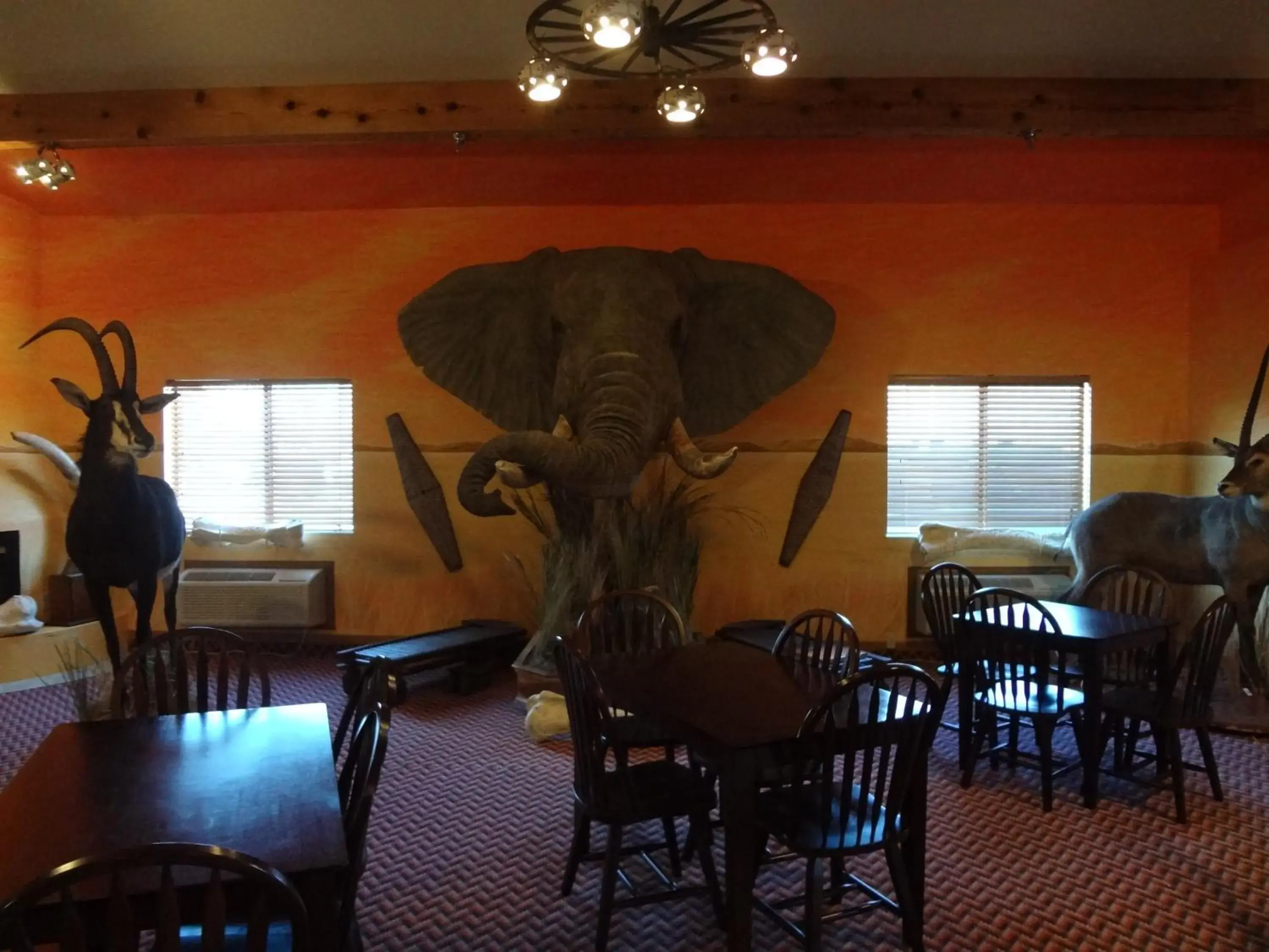 Restaurant/places to eat in Kings Inn Cody Restaurant/places to eat in Kings Inn Cody