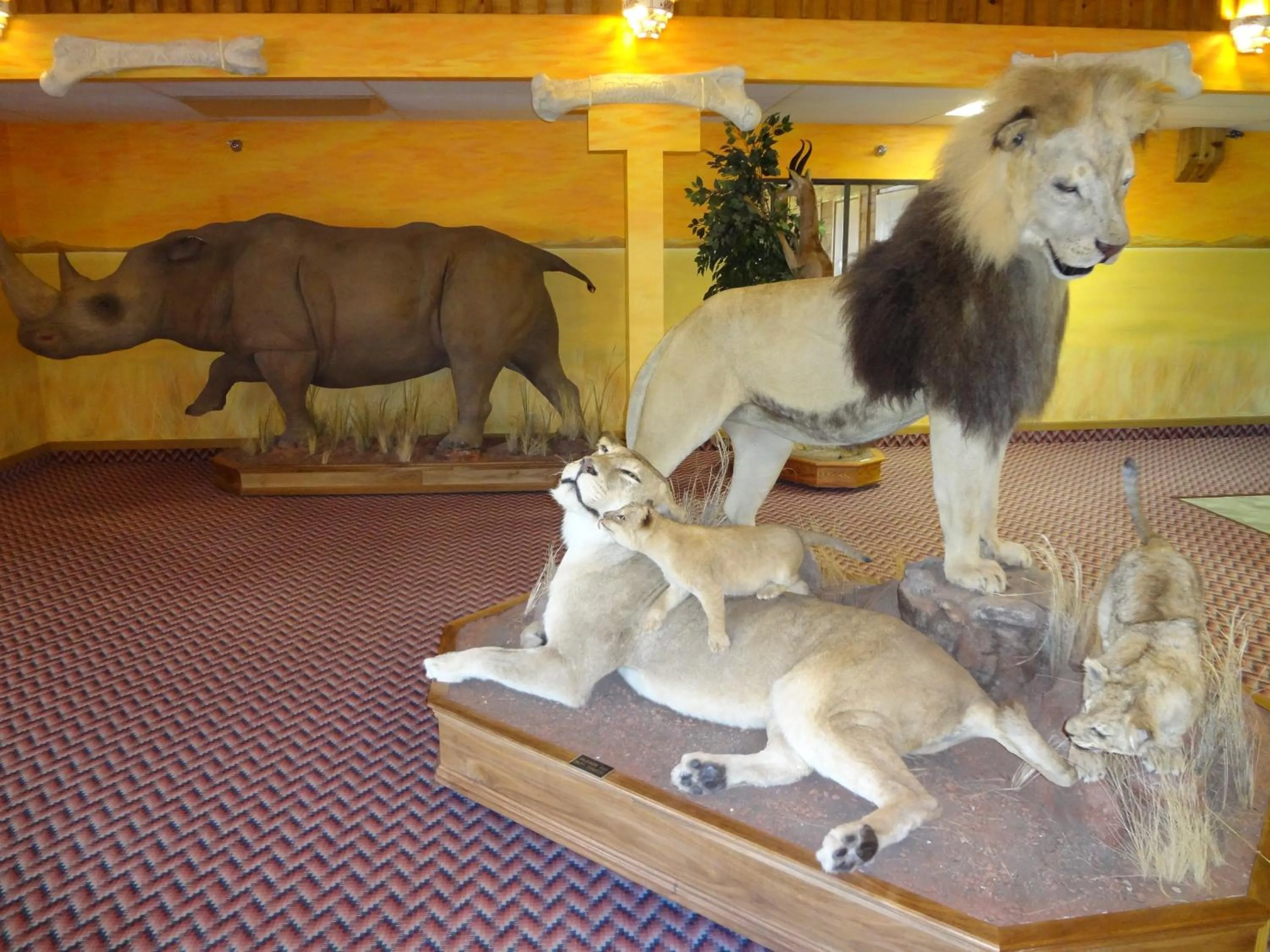 Decorative detail in Kings Inn Cody