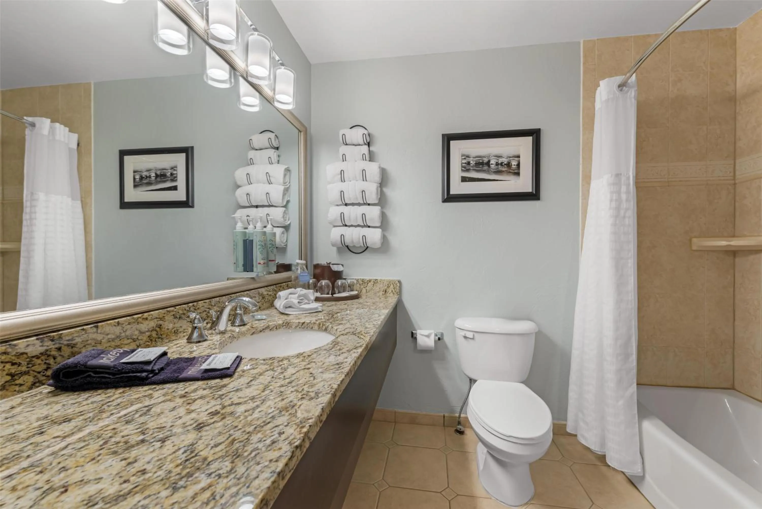 Bathroom in Best Western Vista Inn