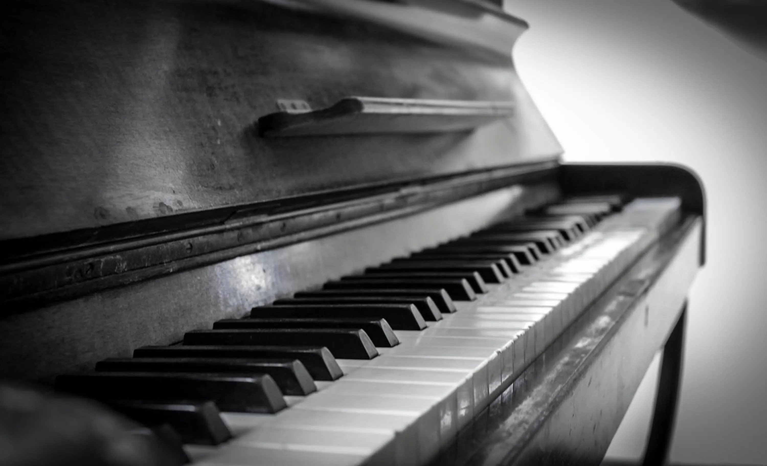 Restaurant/places to eat in Lapida Garden