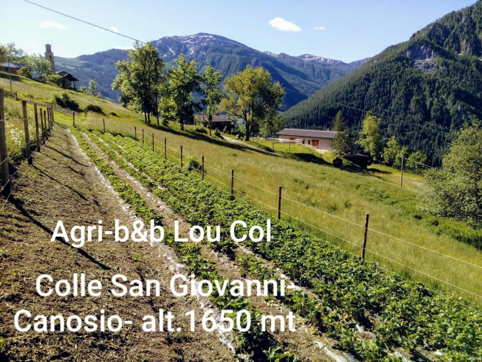 Agri-b&b Lou Col