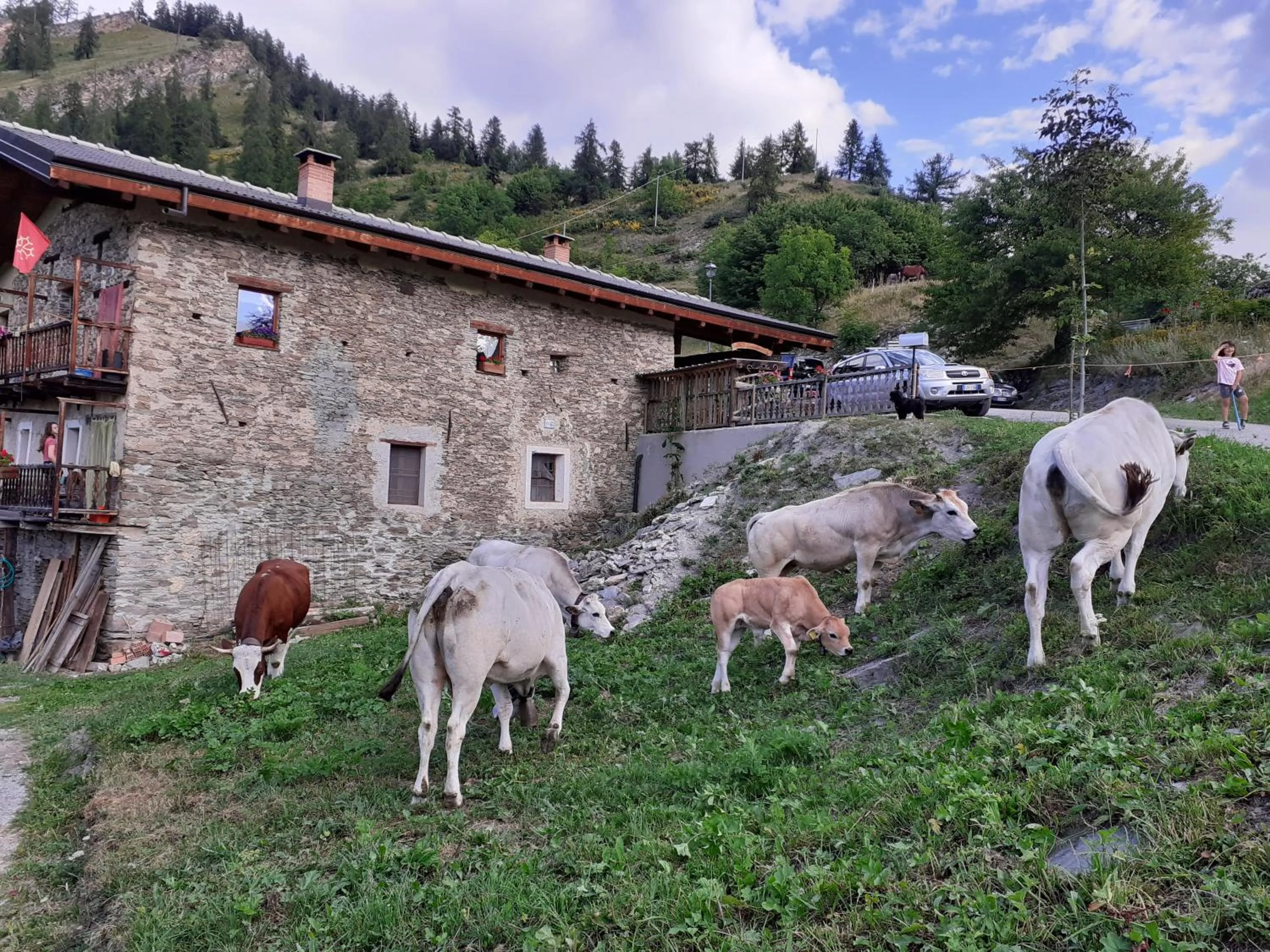Animals in Agri-b&b Lou Col
