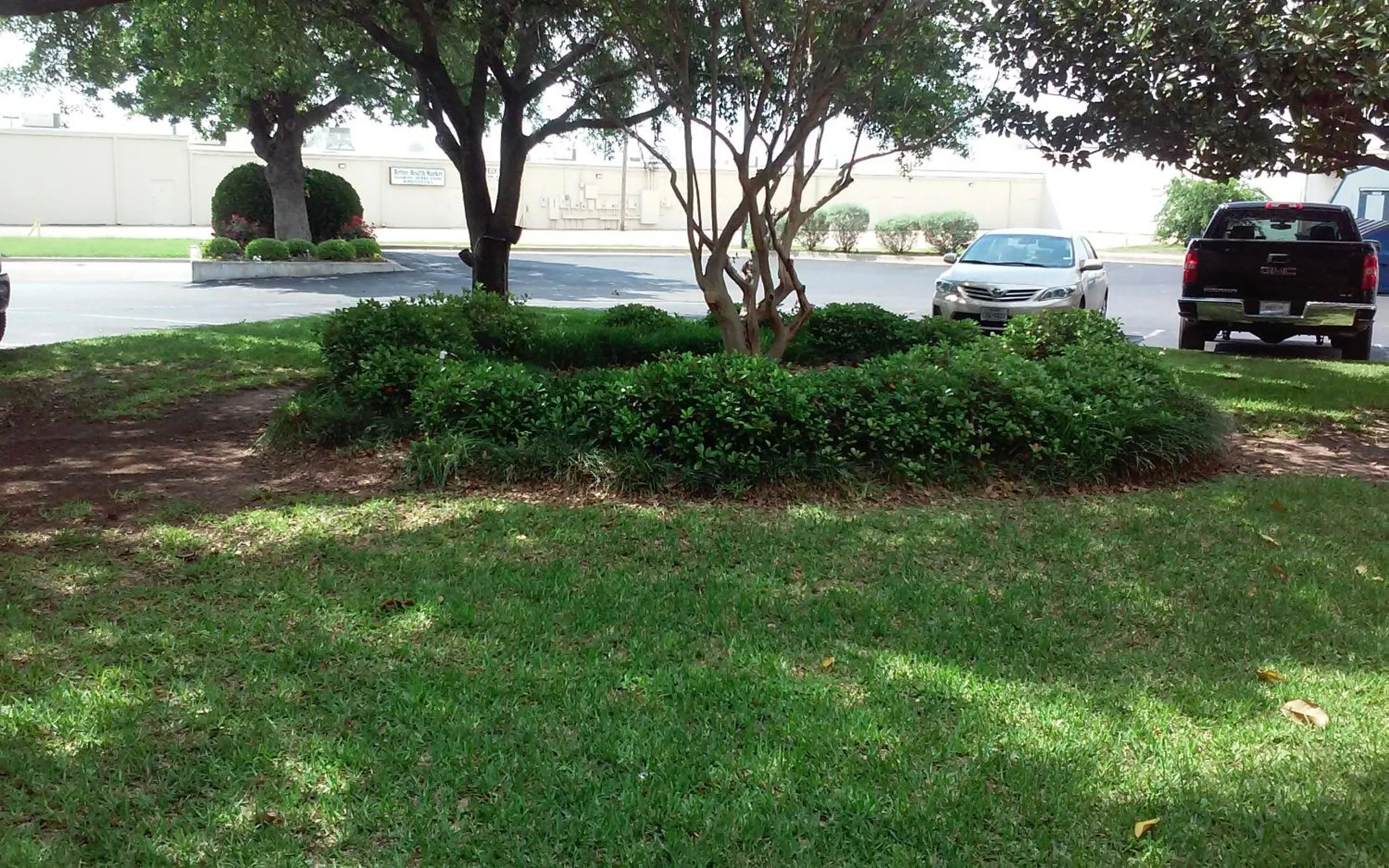 Natural landscape in Lake View Inn