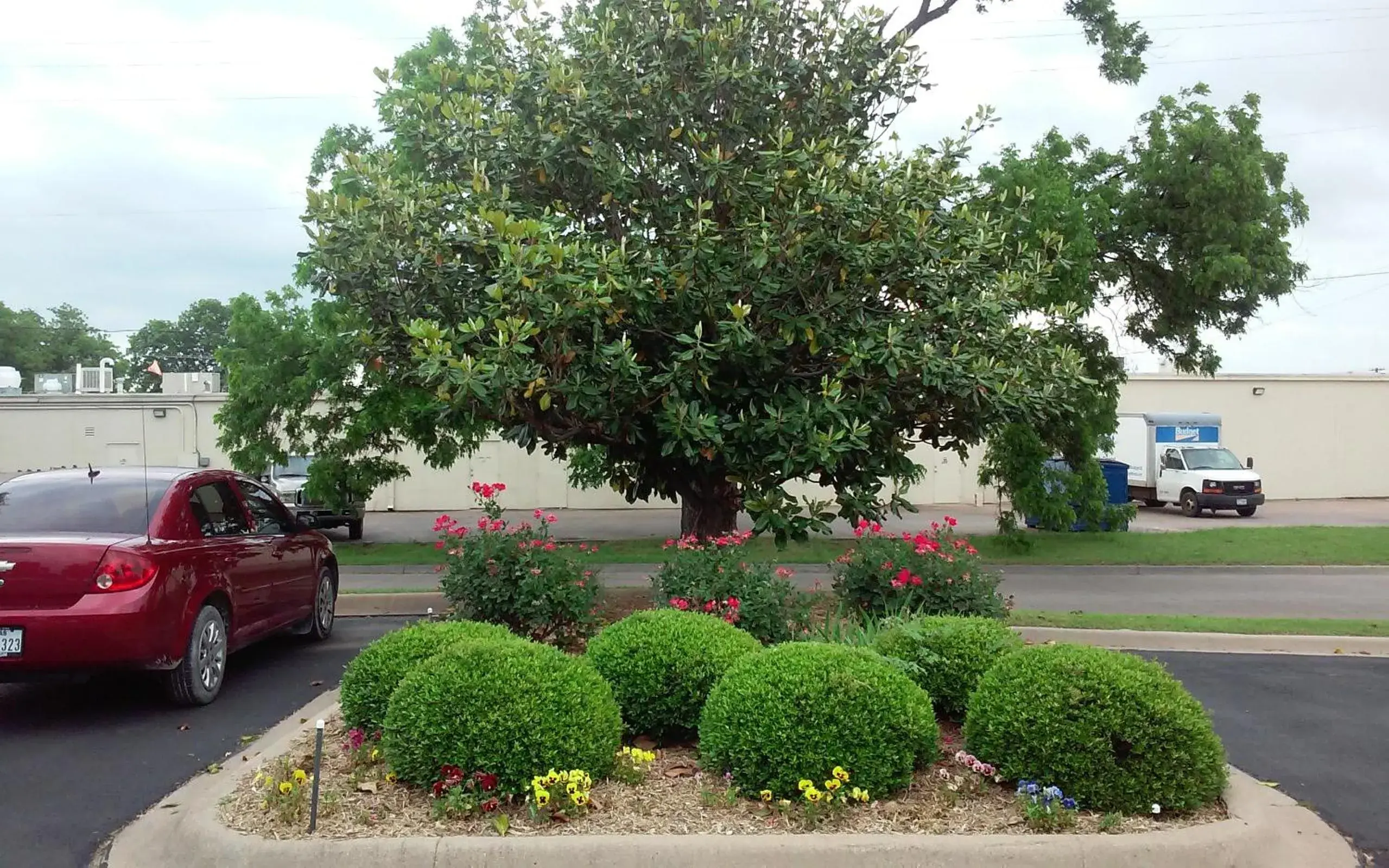 Garden in Lake View Inn Garden in Lake View Inn