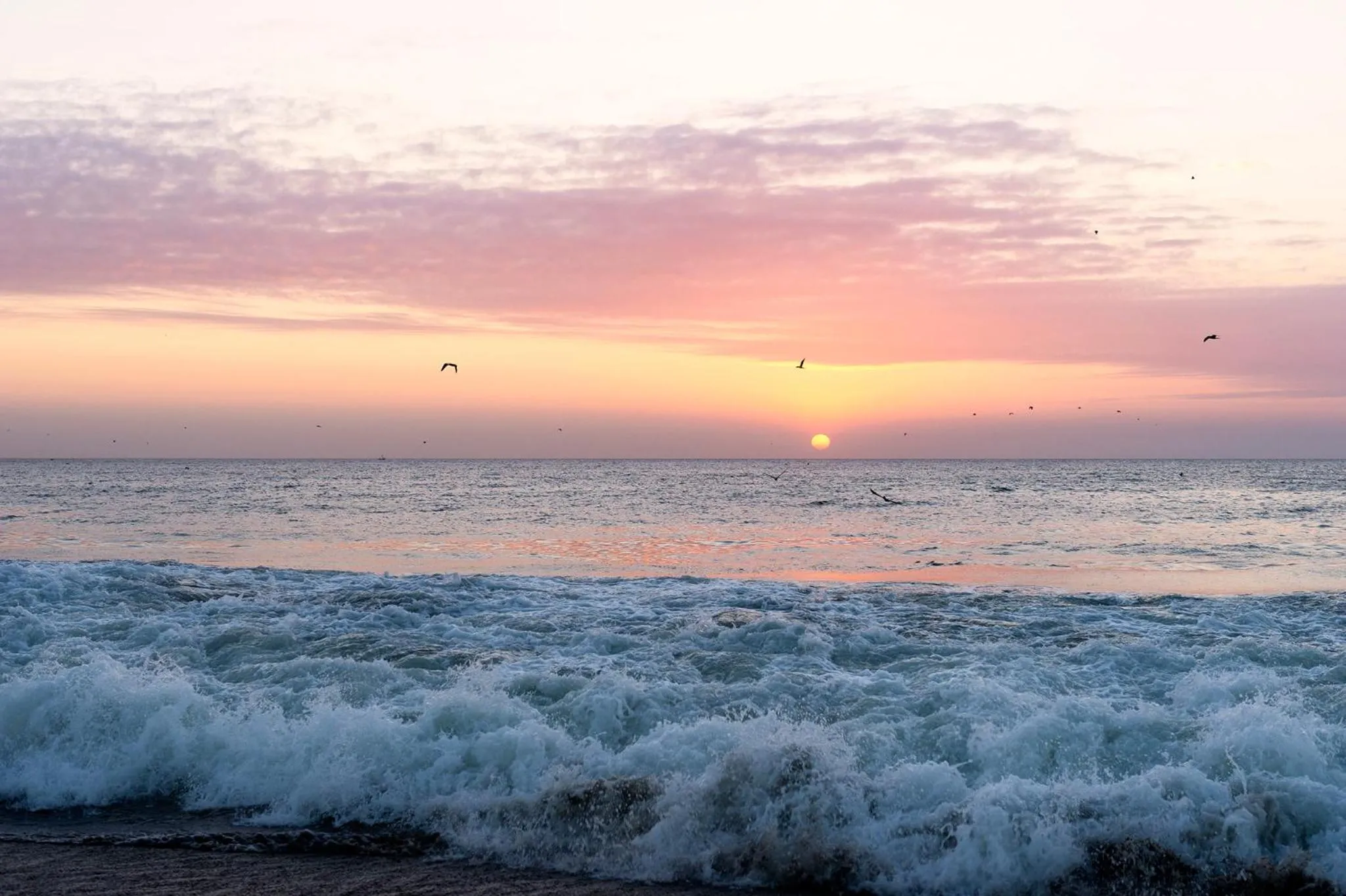 Beach in Norte Suites Boutique