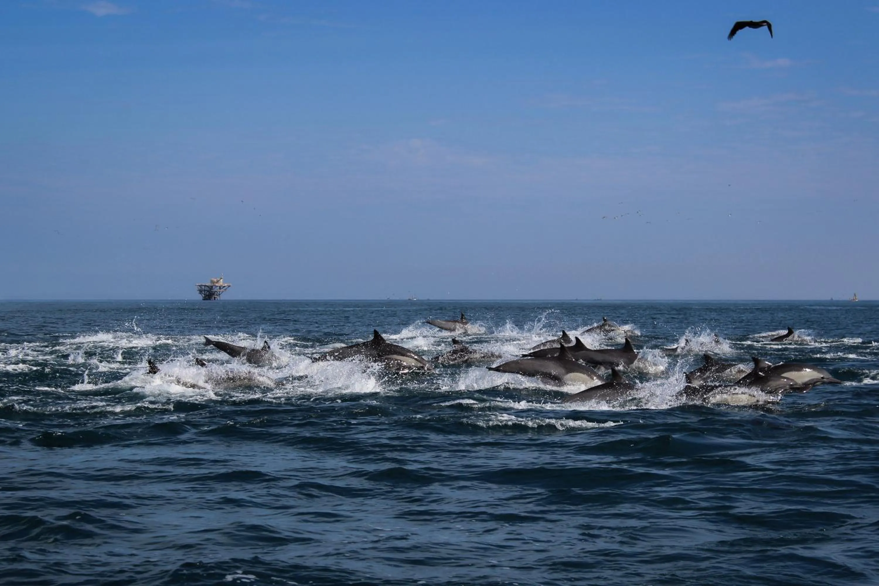 Natural landscape in Norte Suites Boutique