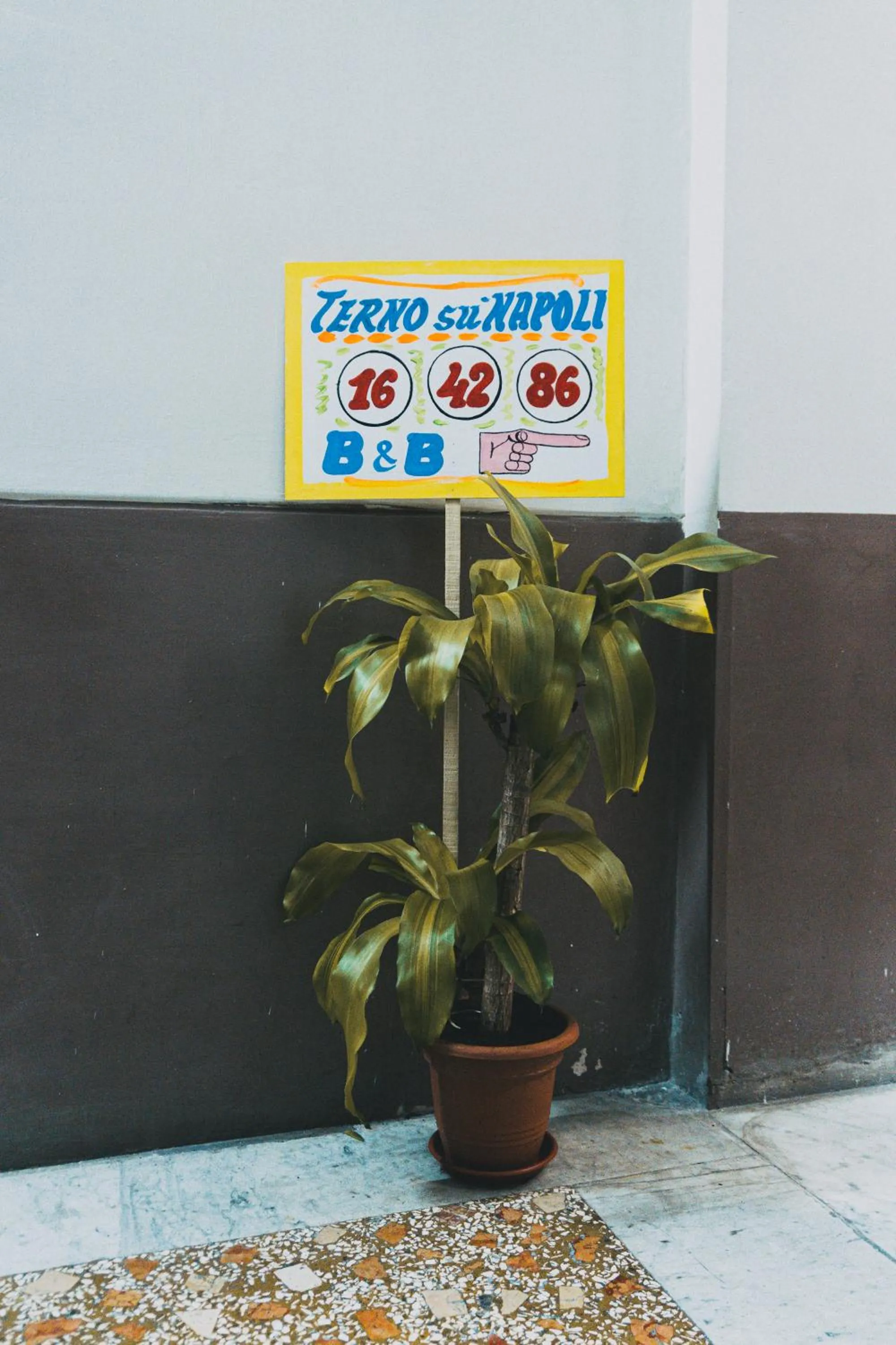 Logo/Certificate/Sign in Terno su Napoli