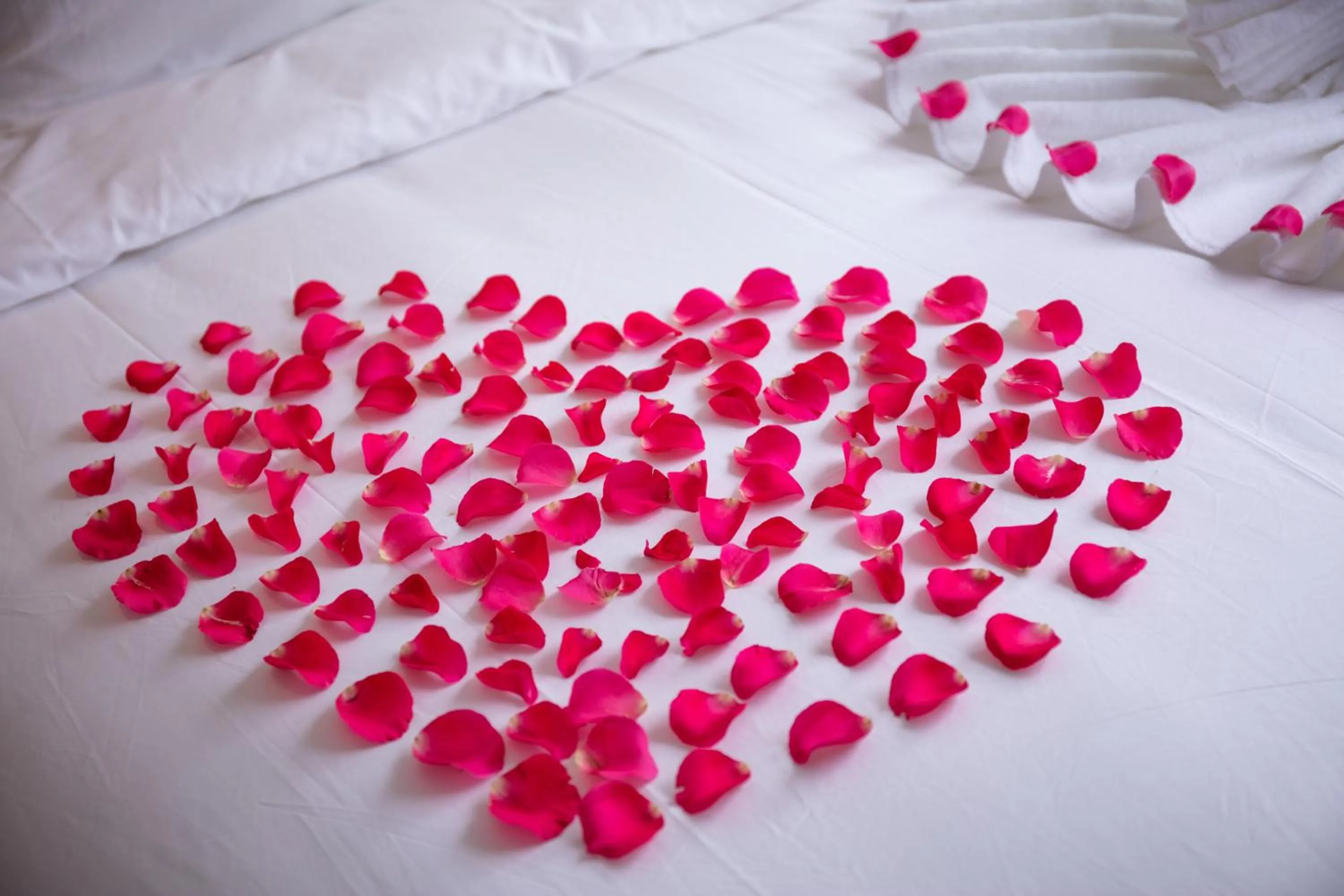 Decorative detail, Bed in Hanoi Center Silk Lullaby Hotel and Travel