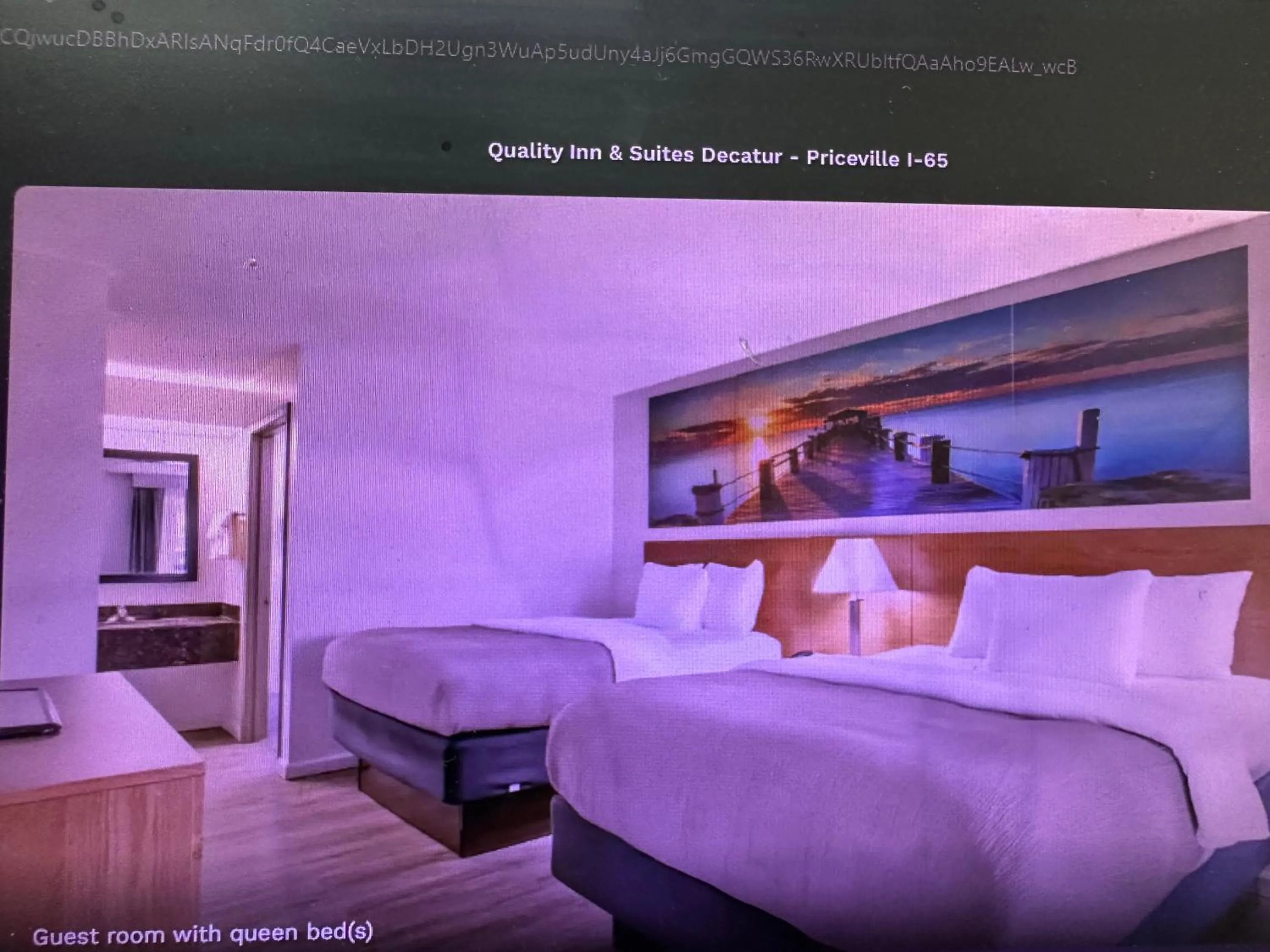 Bed in Quality Inn & Suites Decatur Priceville I-65