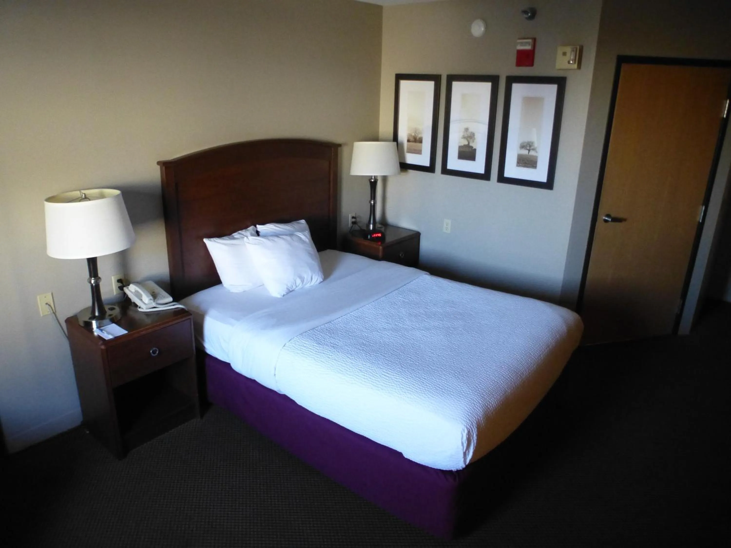 Bed in AmericInn by Wyndham Mitchell