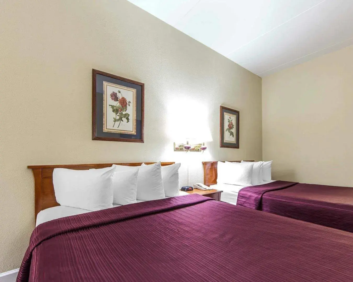 Bedroom, Bed in Quality Inn Maysville Bedroom, Bed in Quality Inn Maysville