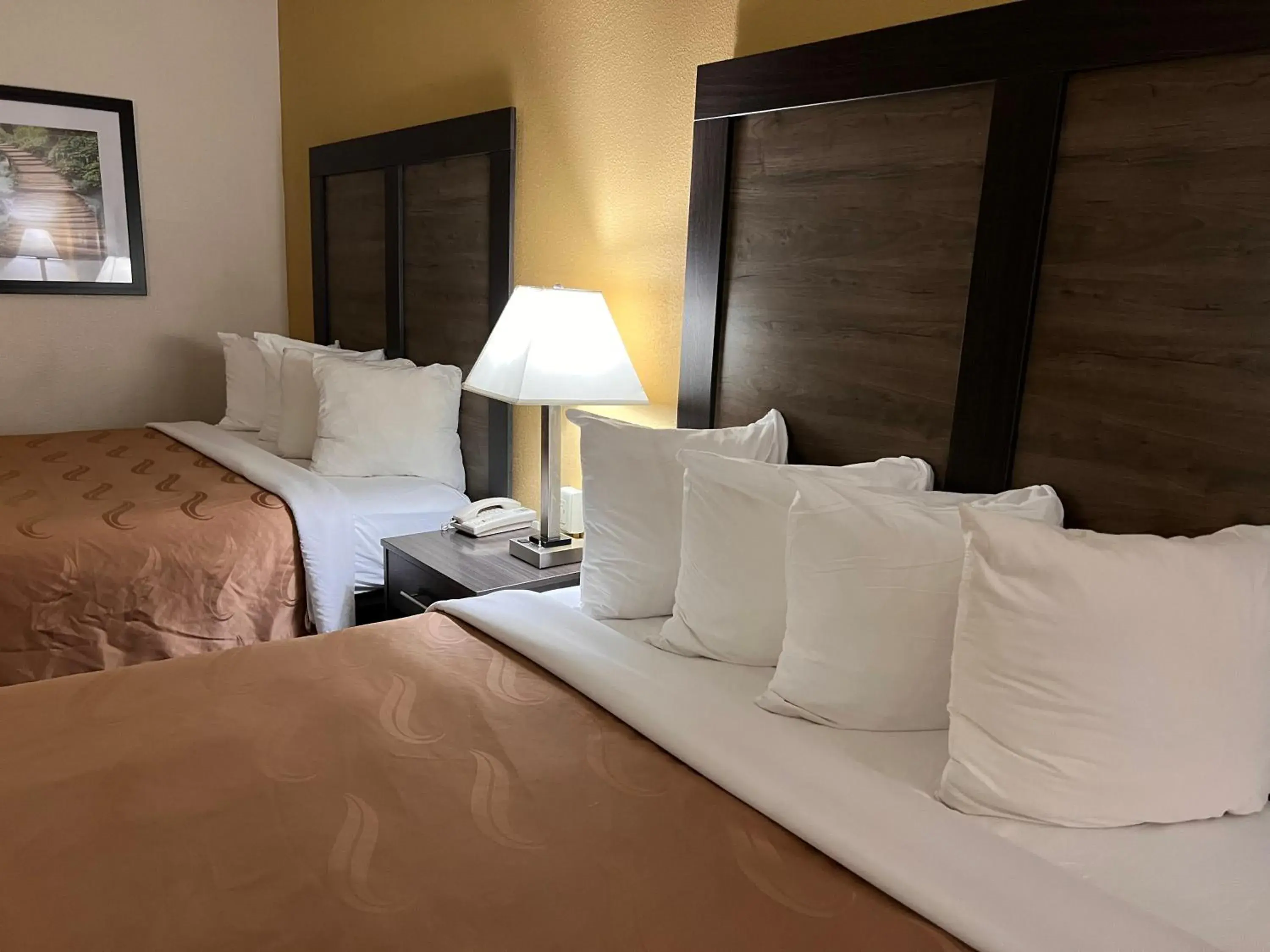 Bed in Quality Inn Bed in Quality Inn