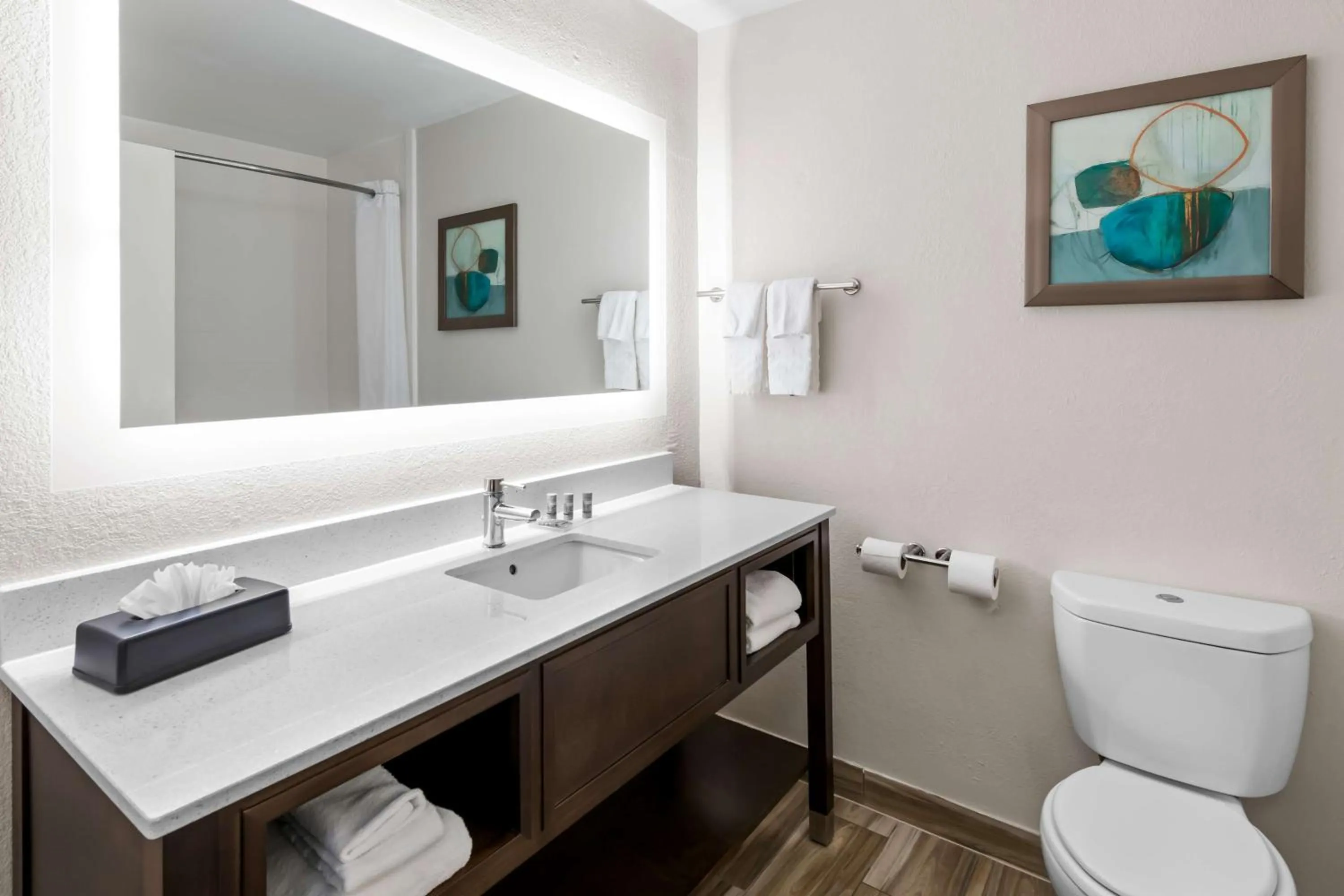 Bathroom in Best Western Worlds Of Fun