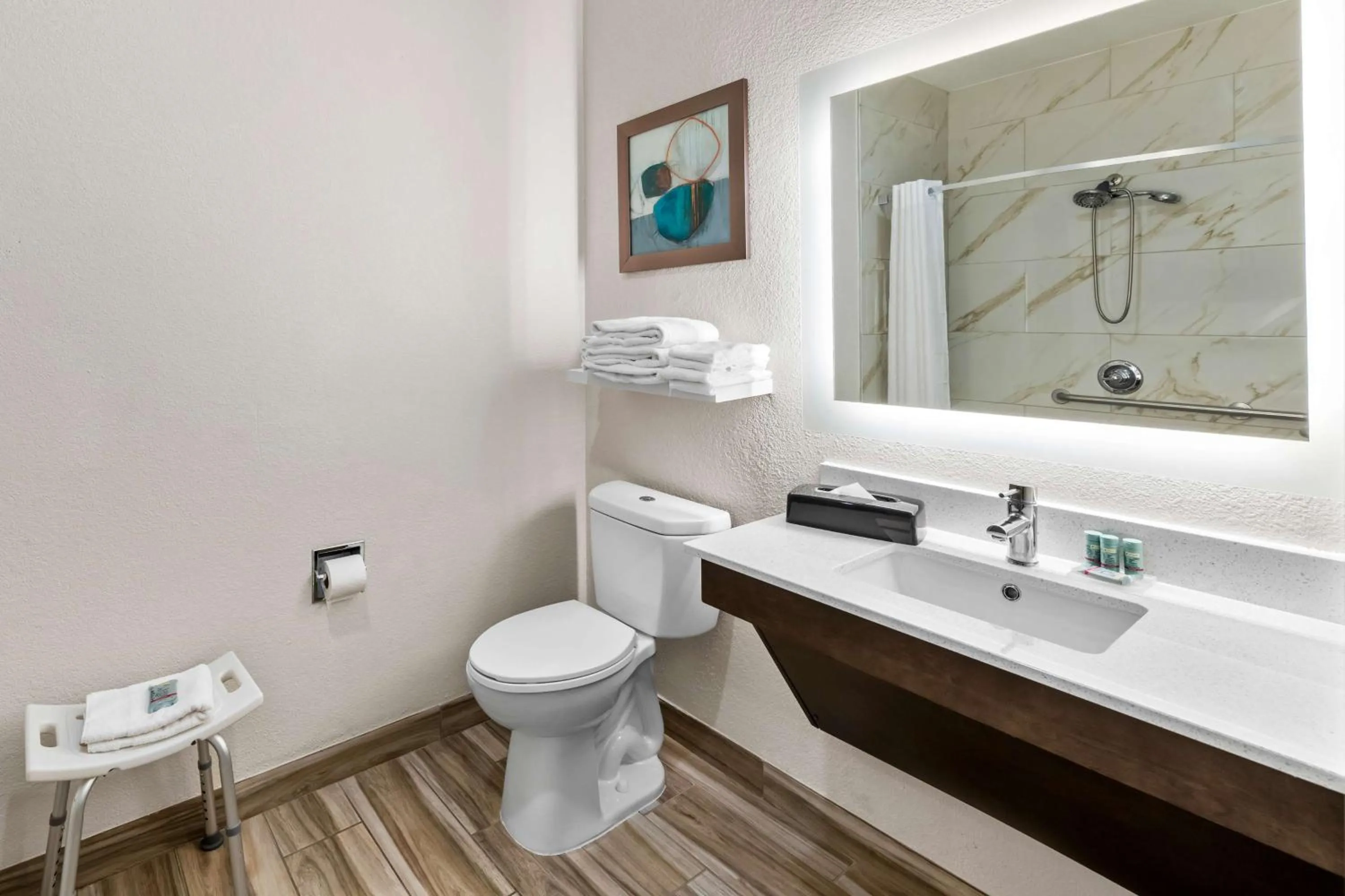 Bathroom in Best Western Worlds Of Fun