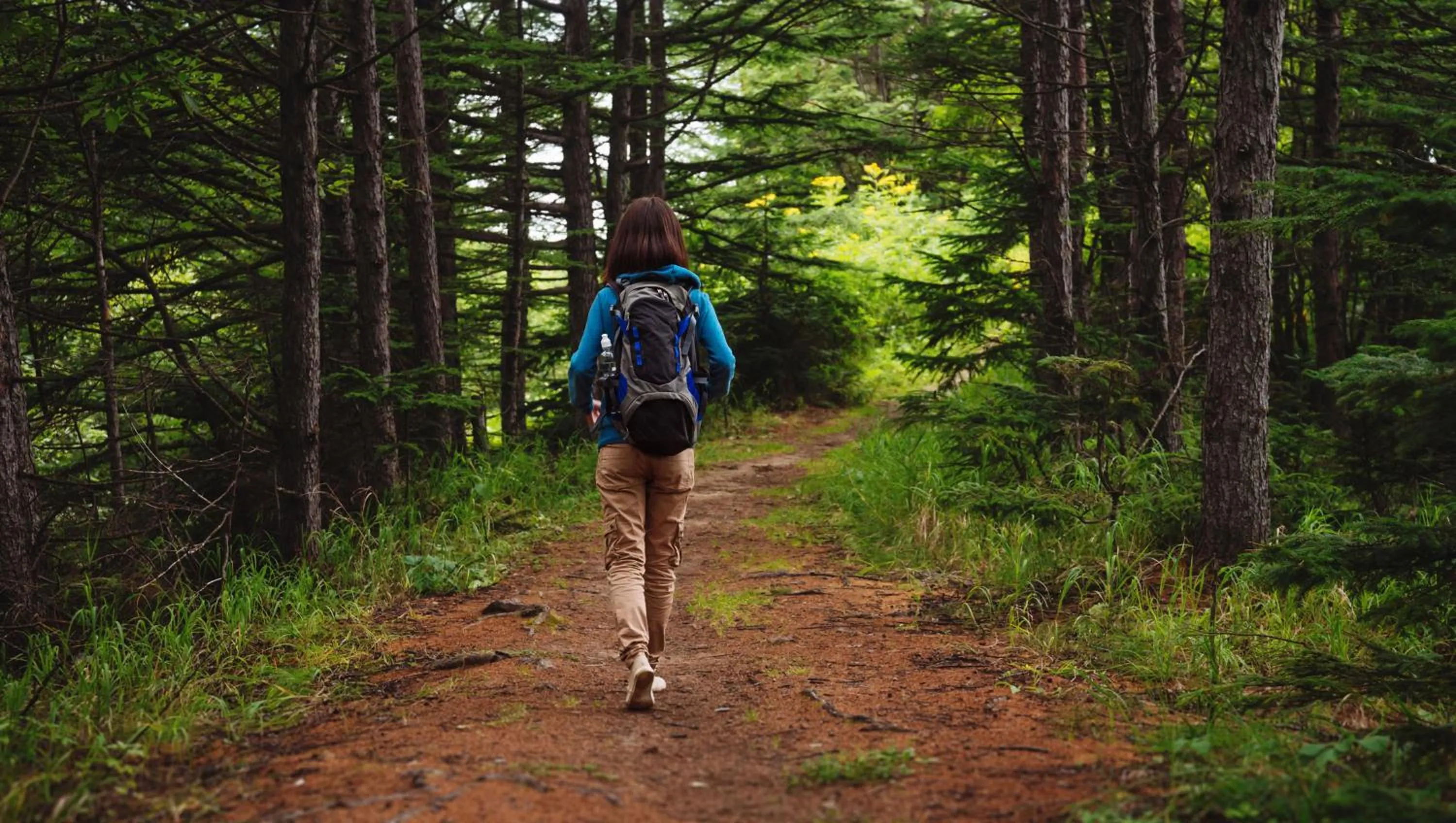 Hiking in Georgetown Lodge