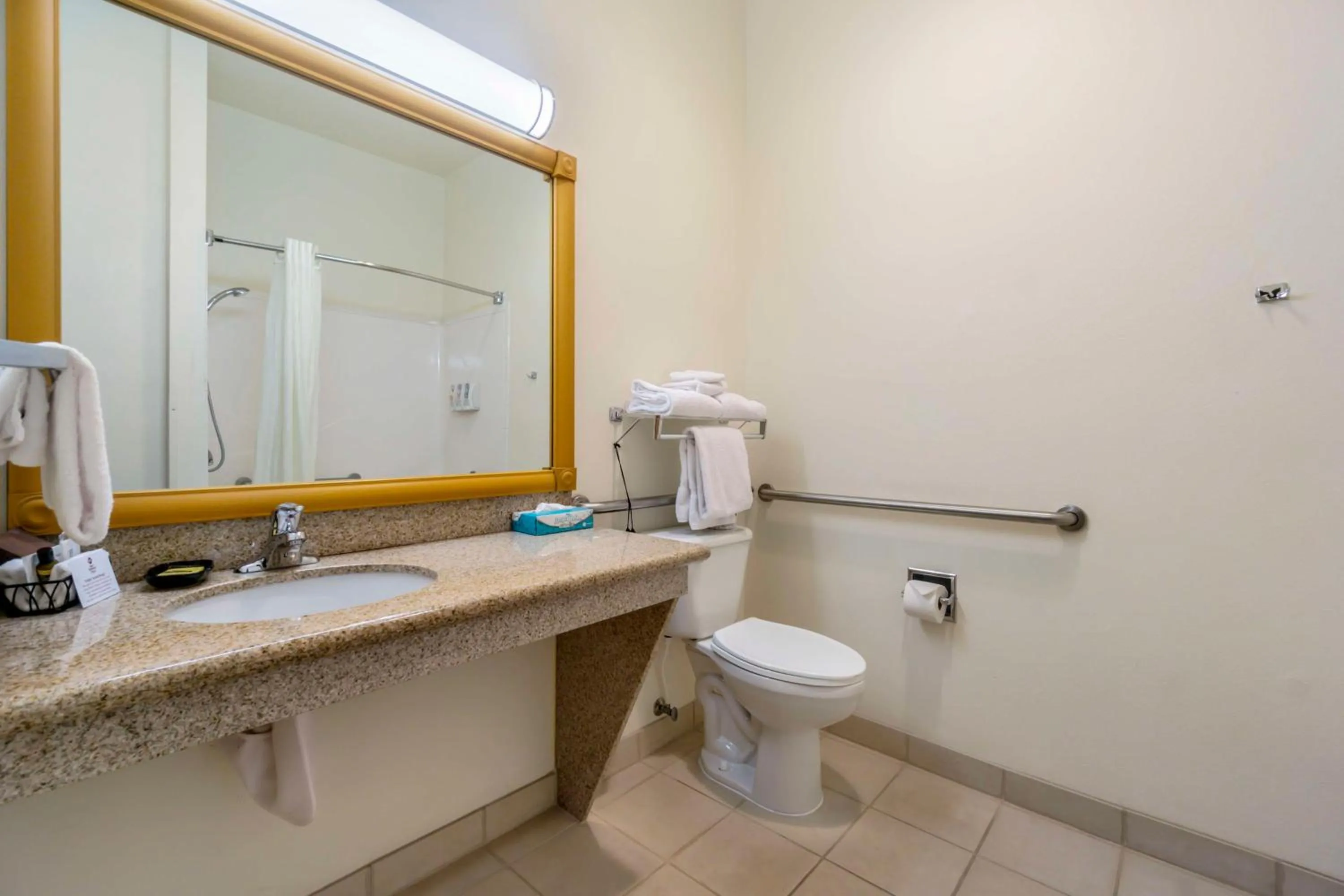 Bathroom in Best Western Plus Grapevine Inn