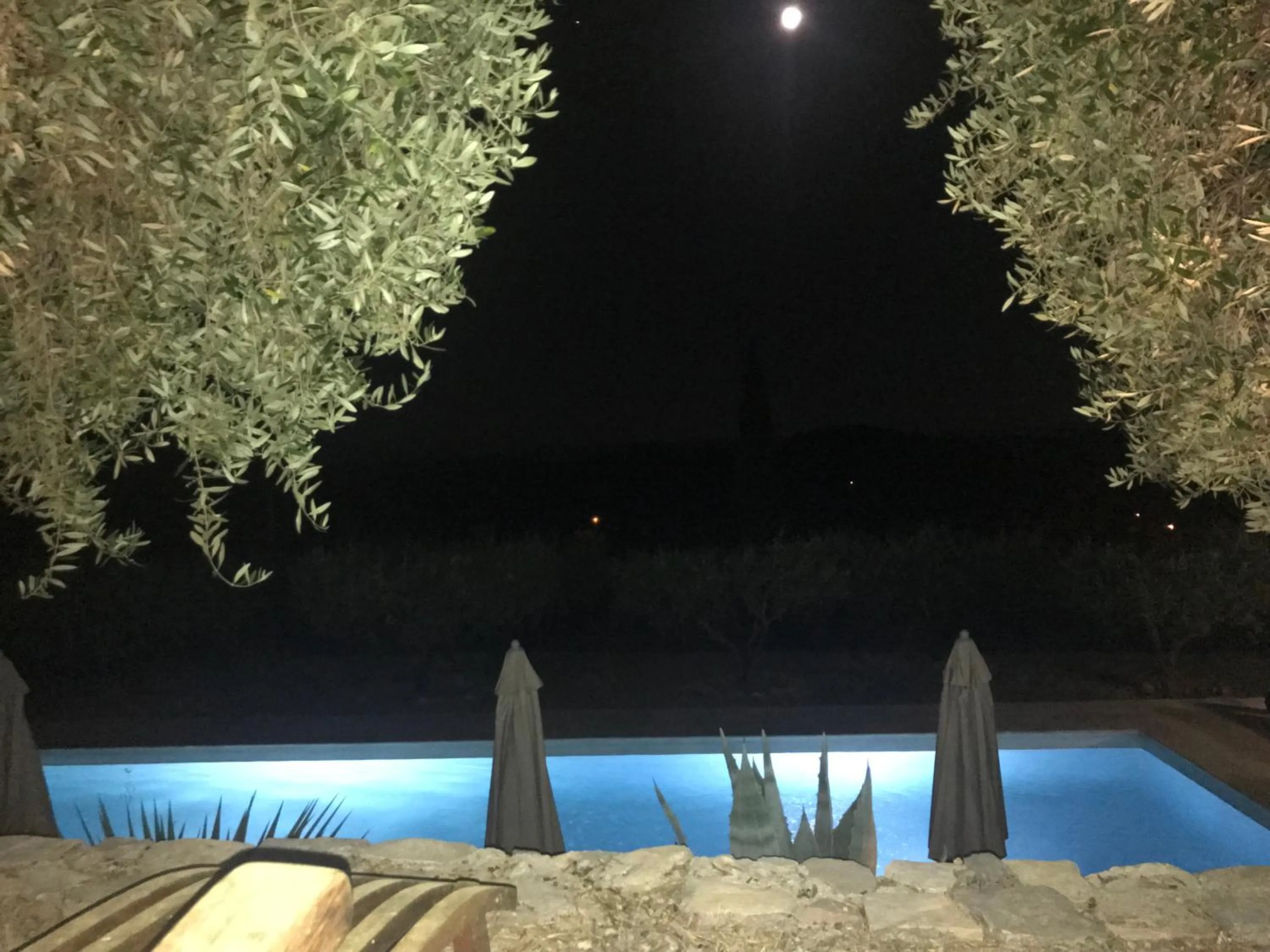 Garden in Le Clos en Provence