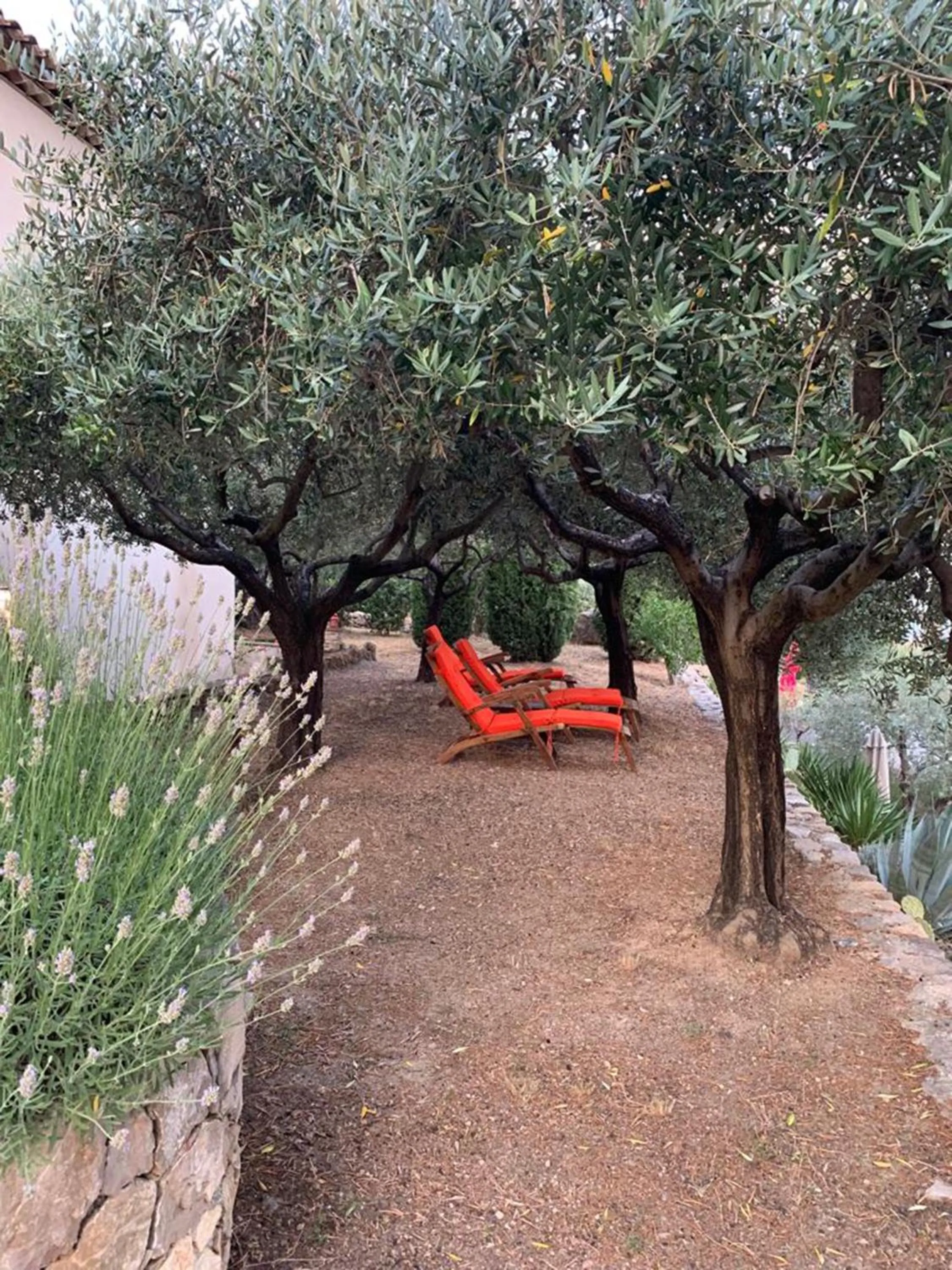 Garden in Le Clos en Provence