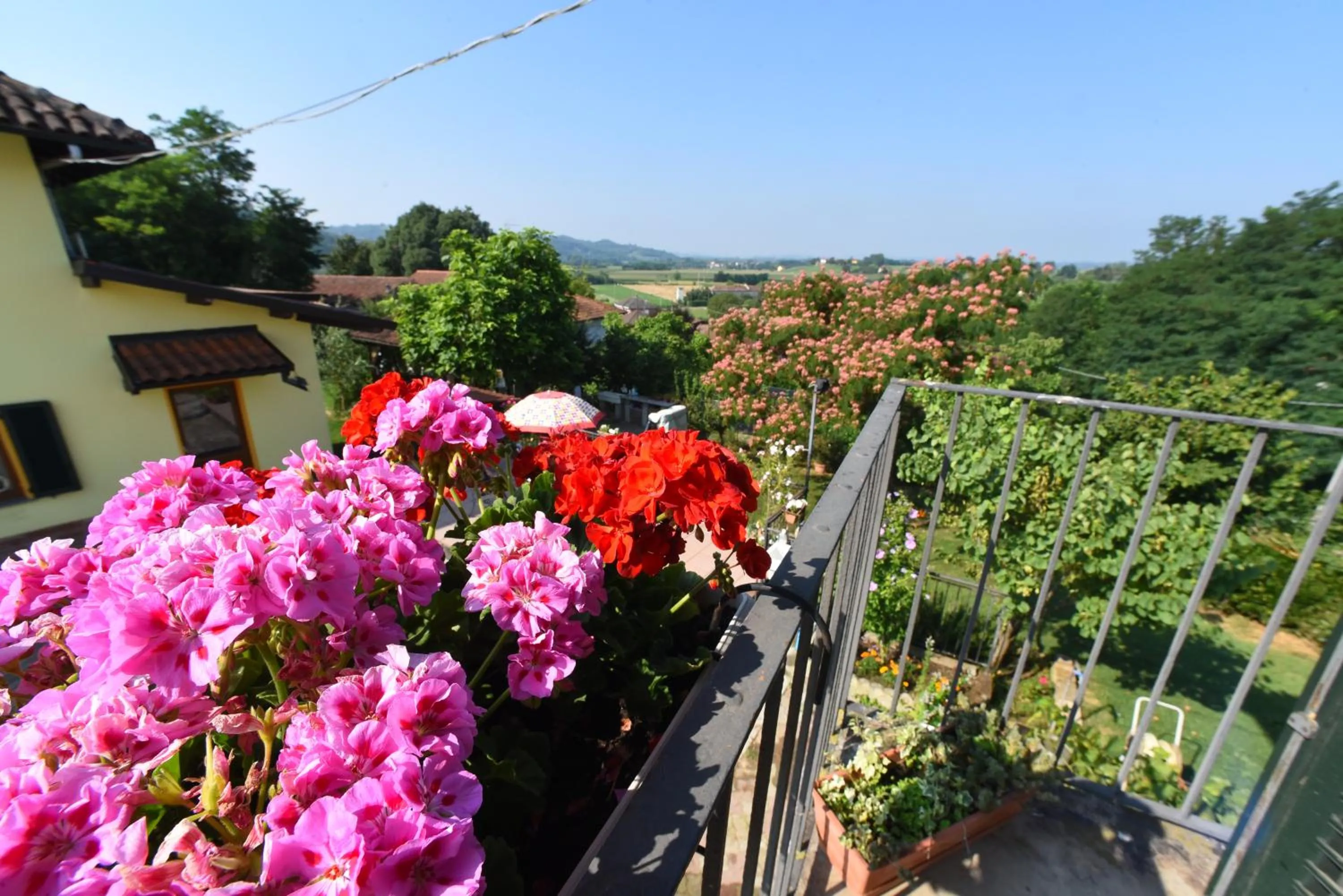 Garden view in B&B La Riundela