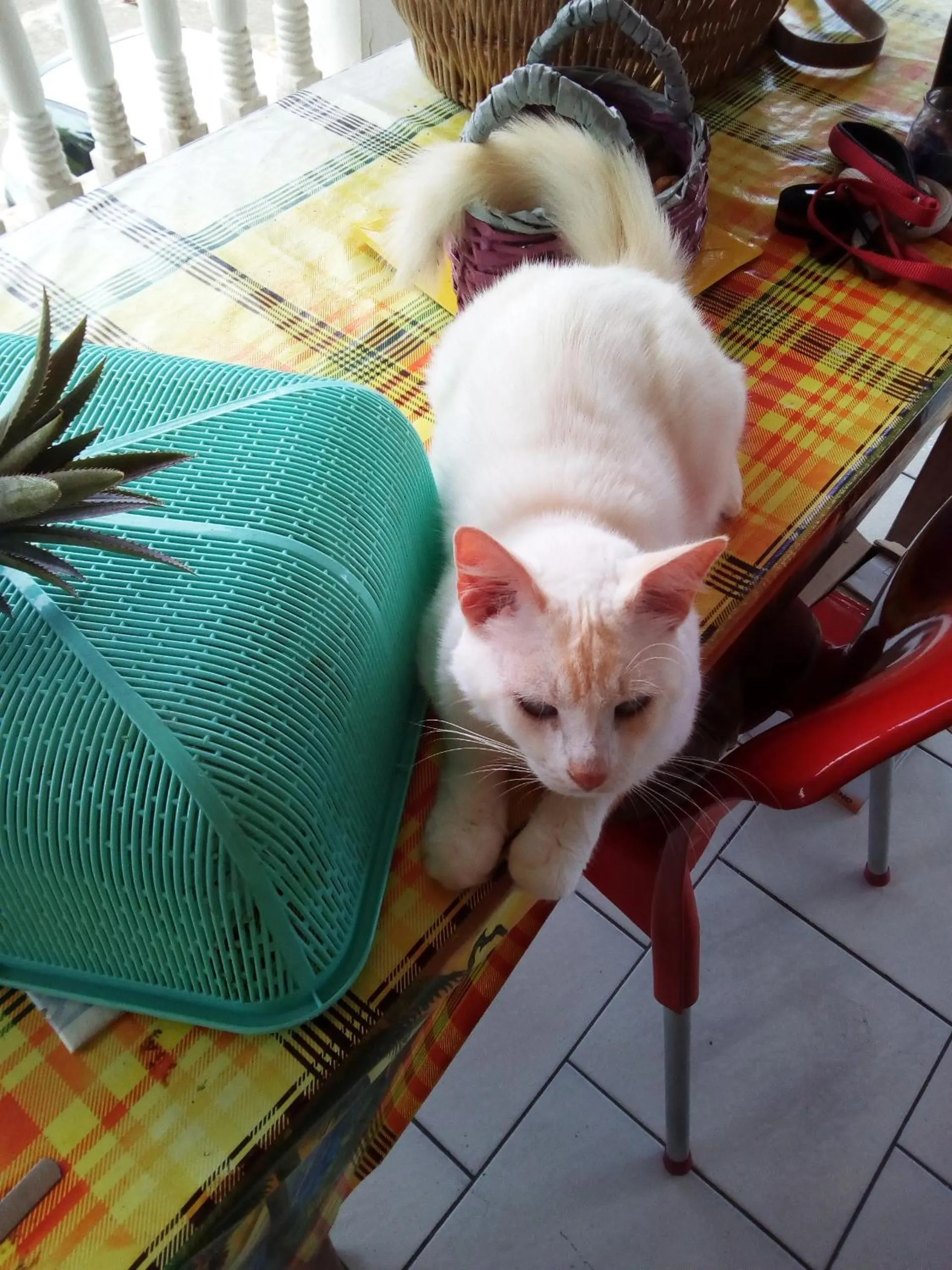 Chez Christian et Lydia