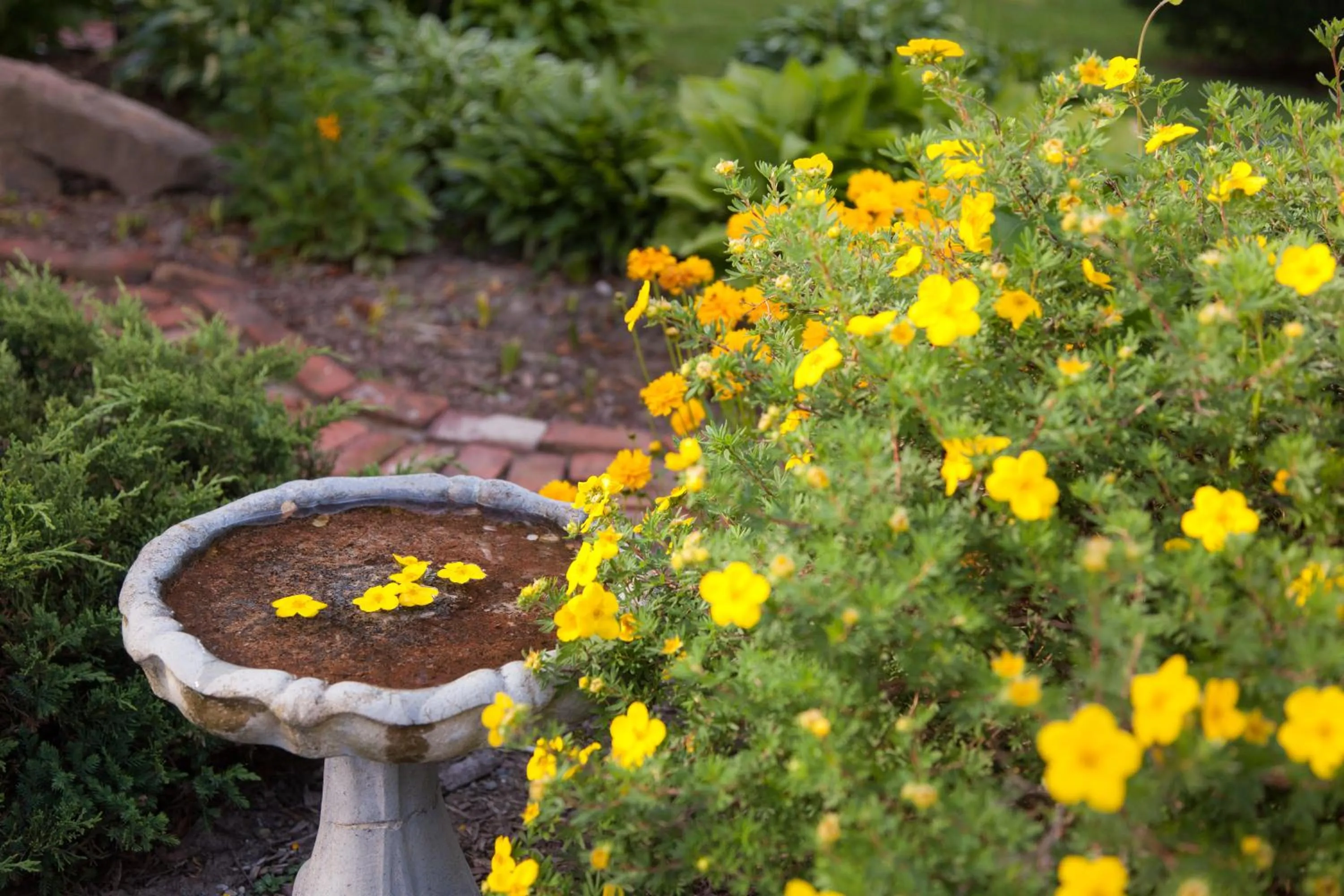 Property building in Beech Tree Inn and Cottage