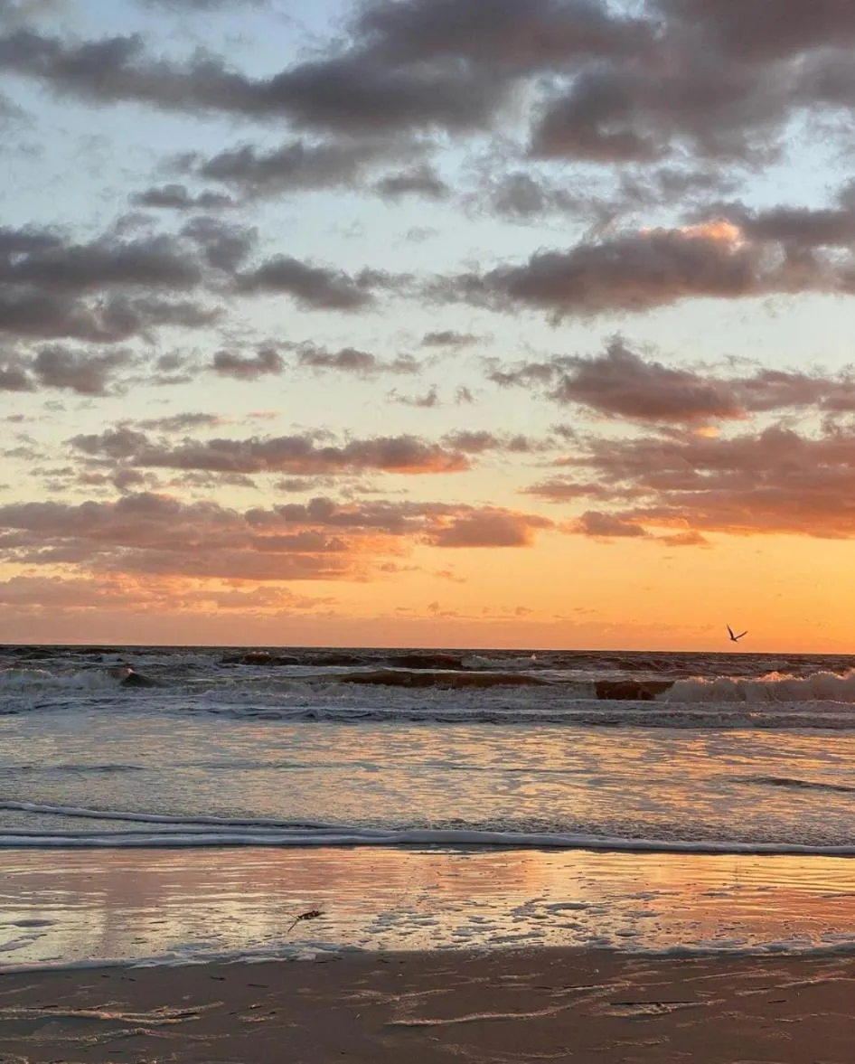 Beach in By The Sea Guests Bed & Breakfast and Suites