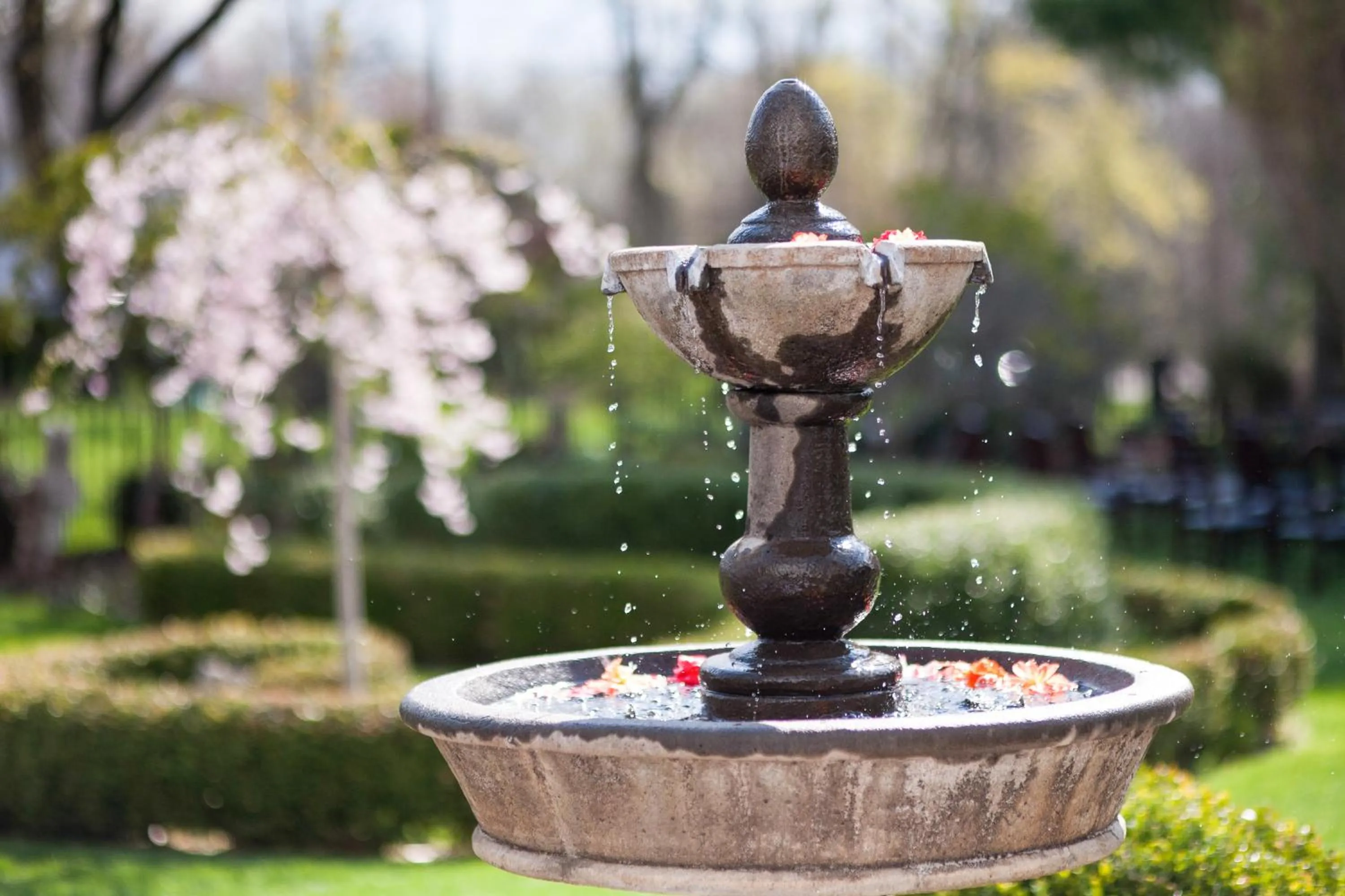 View (from property/room) in The Connecticut River Valley Inn Hartford South/Glastonbury